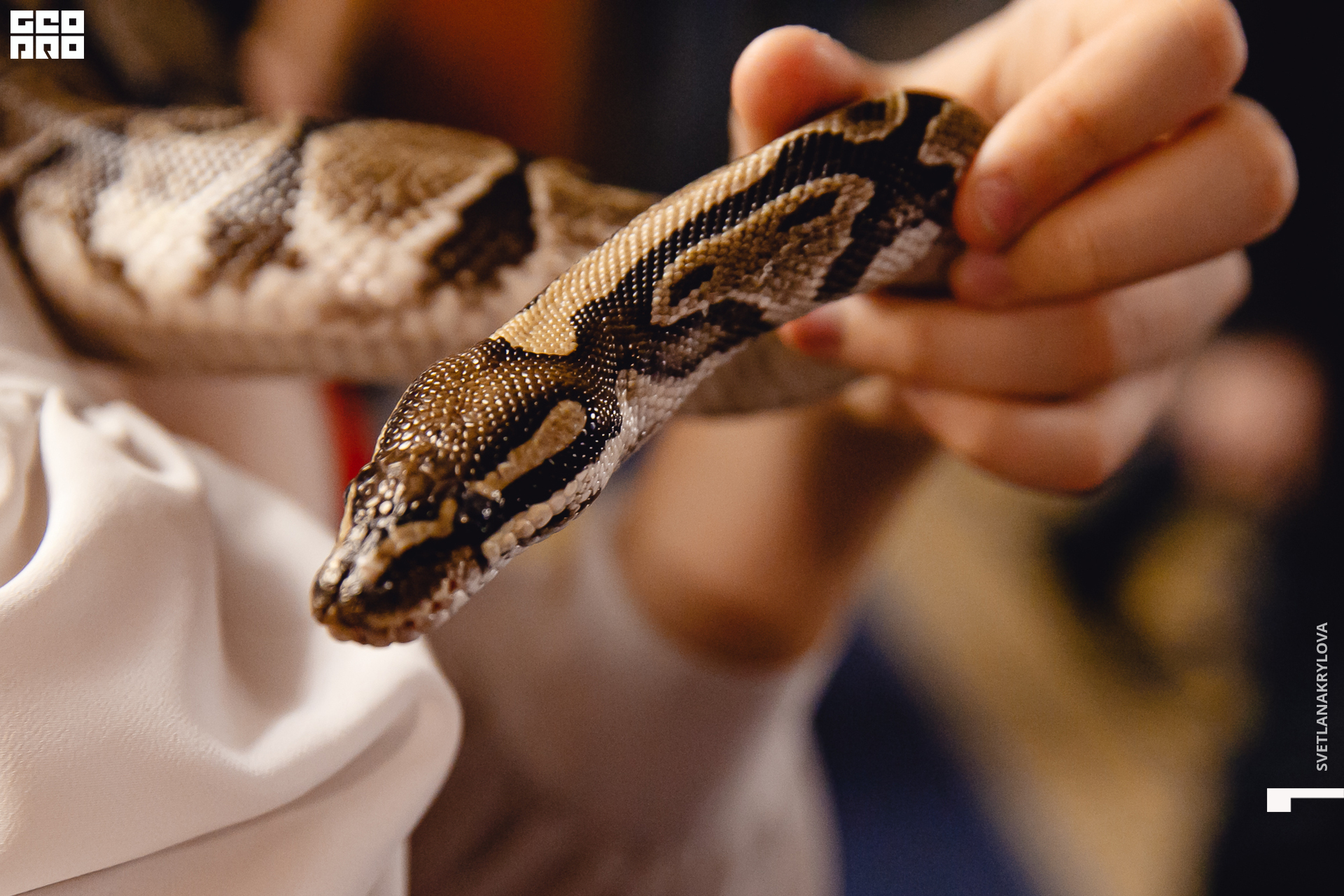 2019-12-22 16-00-00 Krylova_0031.jpg