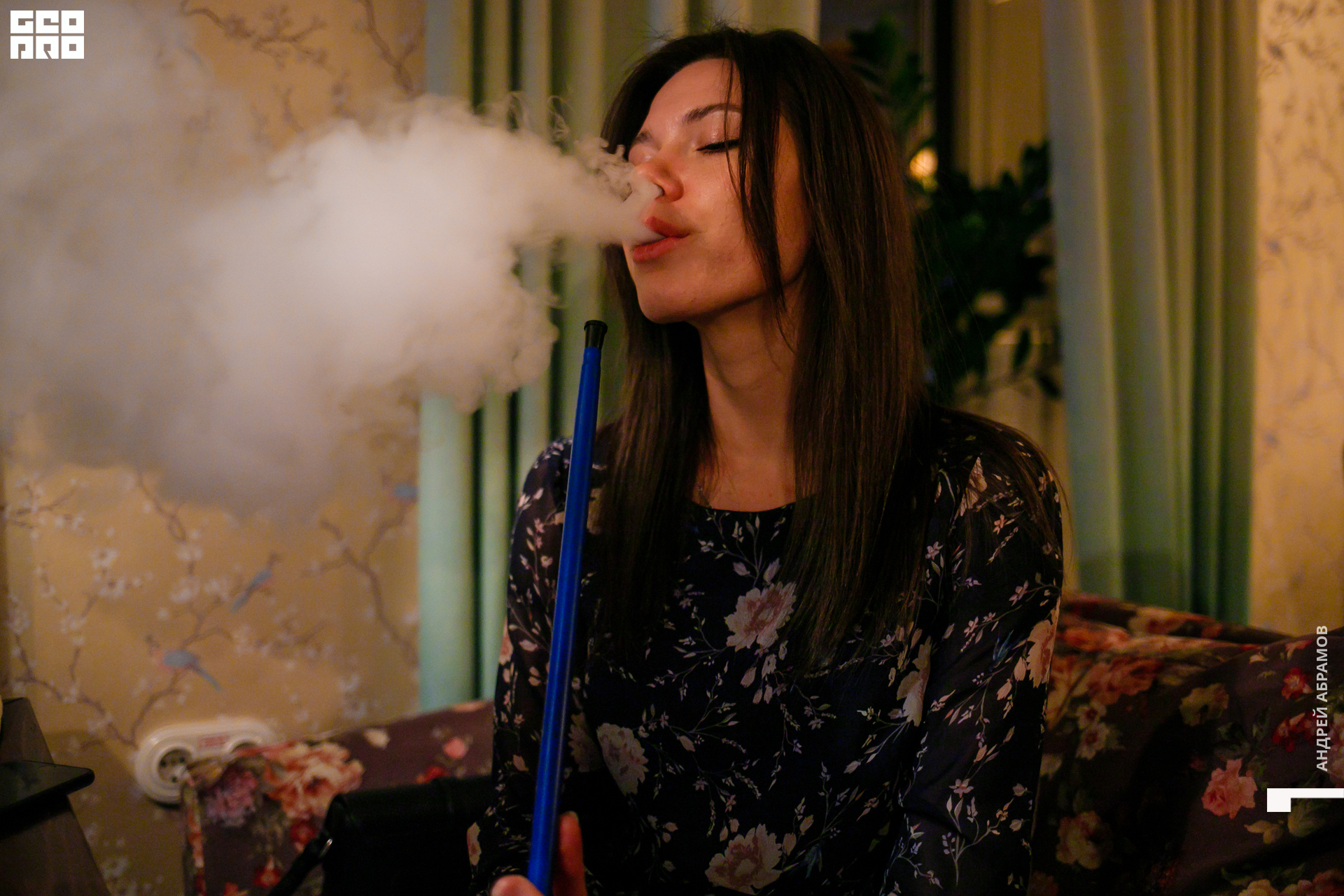 151119 Птичка Абрамов 0023.jpg