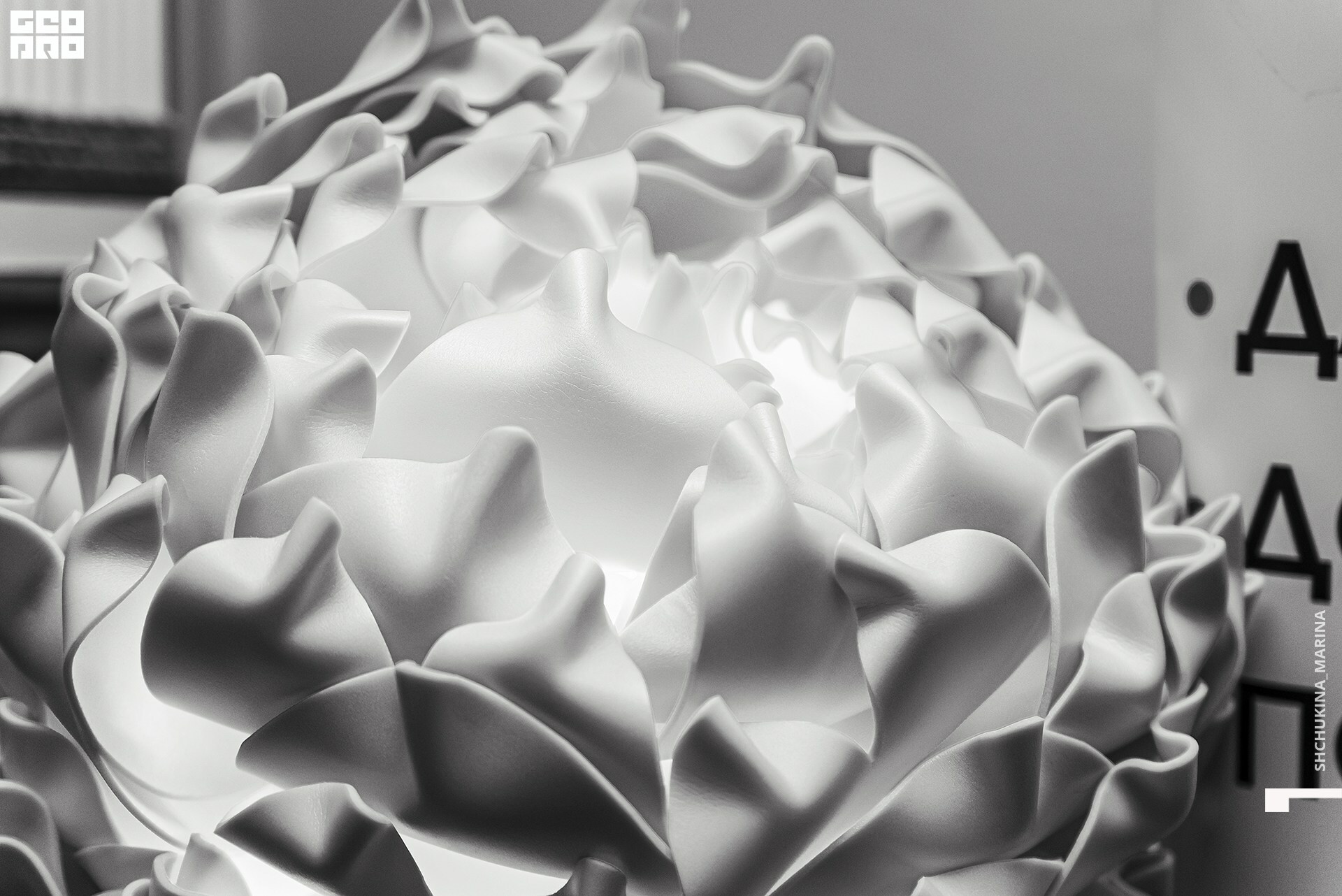 03.11.2019 цвет-231.jpg