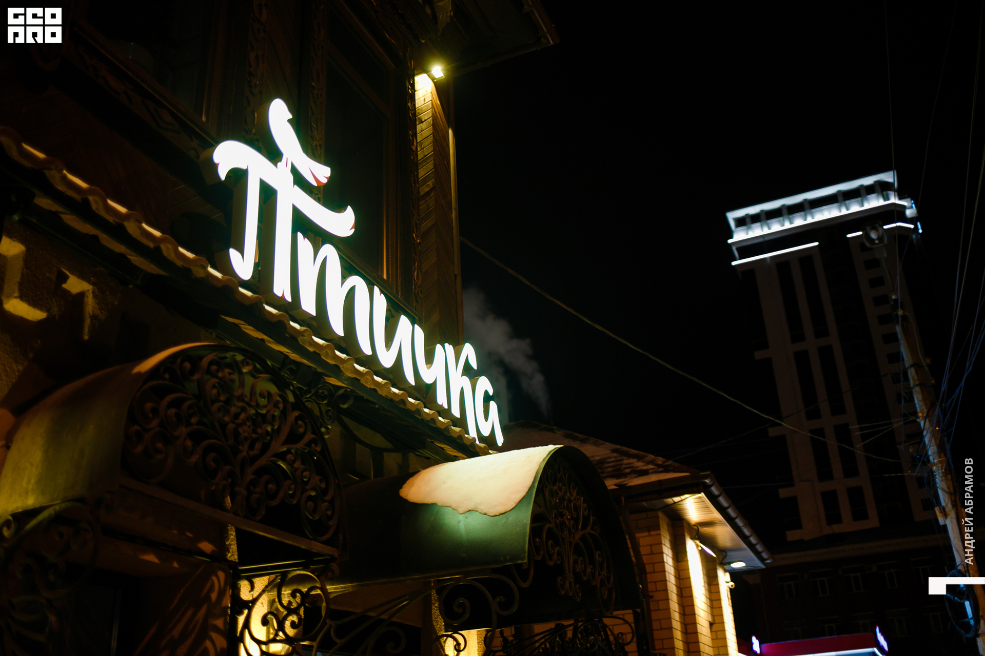 011119 Птичка Абрамов 0087.jpg