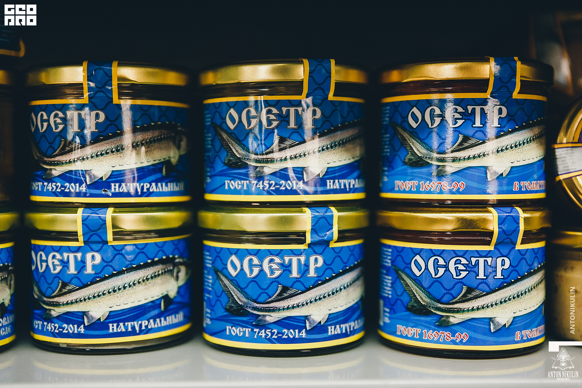 untitled shoot-9832.jpg