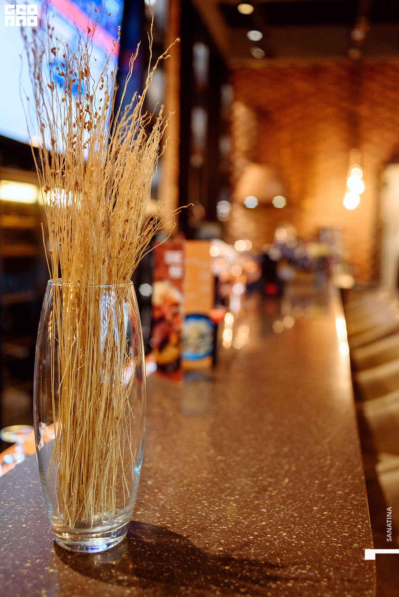 0009-2019-11-01-22-05-30 - Sanatina.jpg