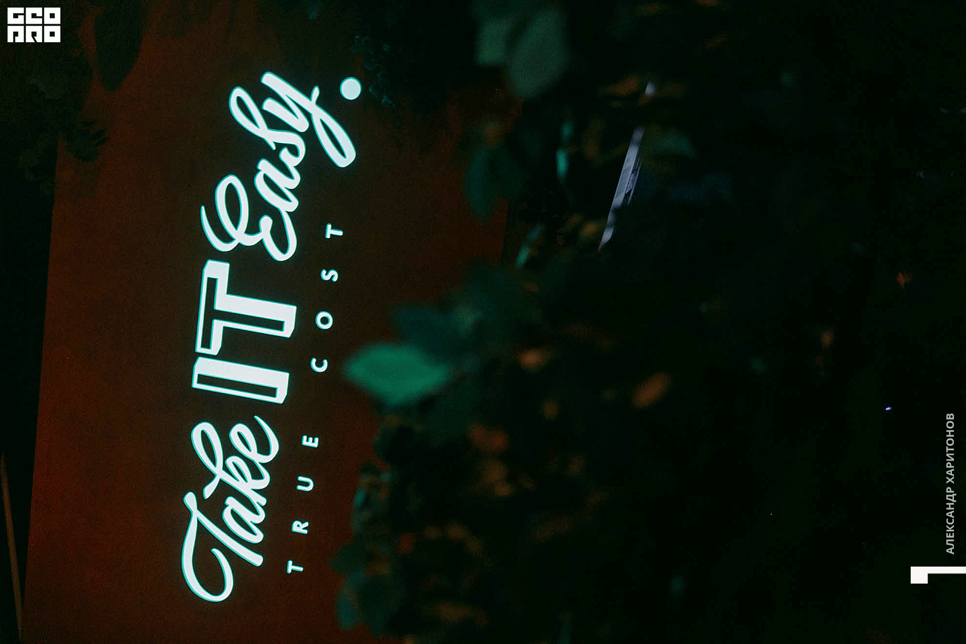 IMG_6564 копия.jpg