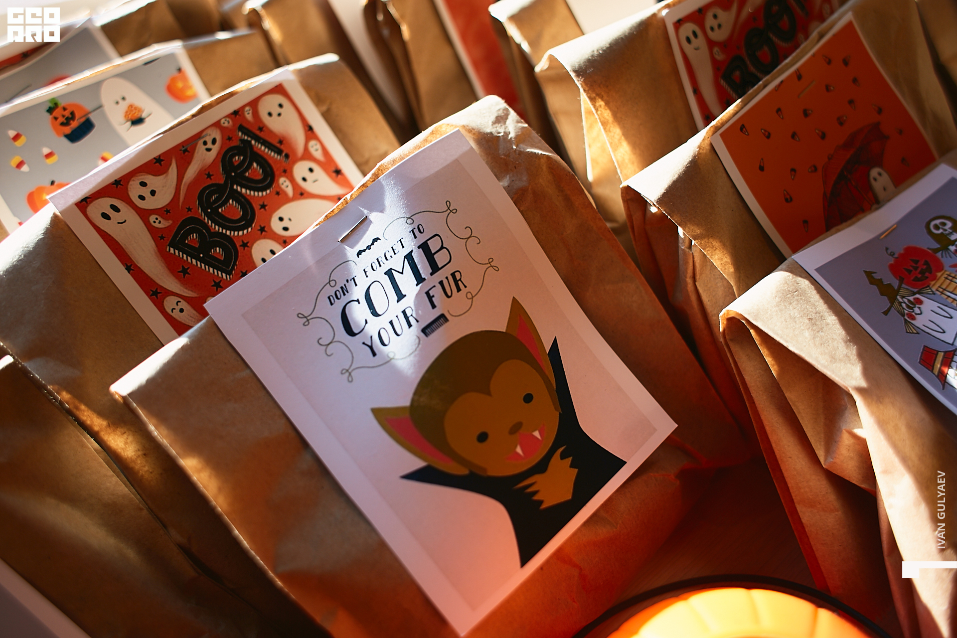 0001 _02112019_113200_Gulyaev.jpg