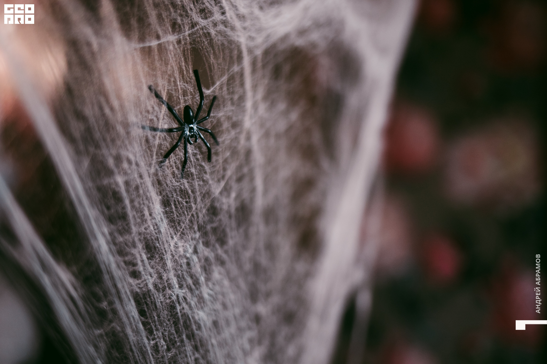 011119 5561 Абрамов 0018.jpg