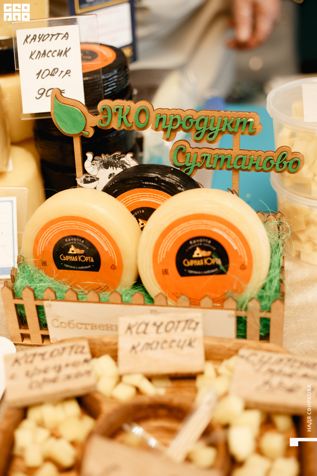 2019-10-31 12-00-00_svirkova_038.jpg