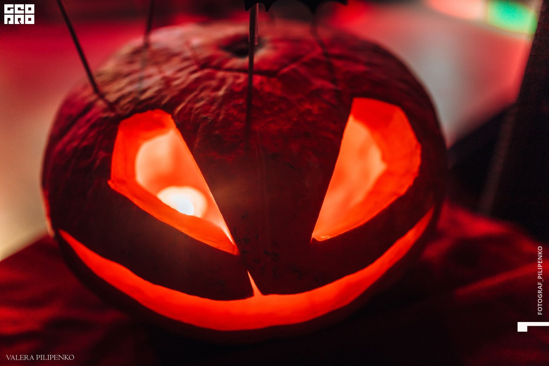 1-7965 копия.jpg