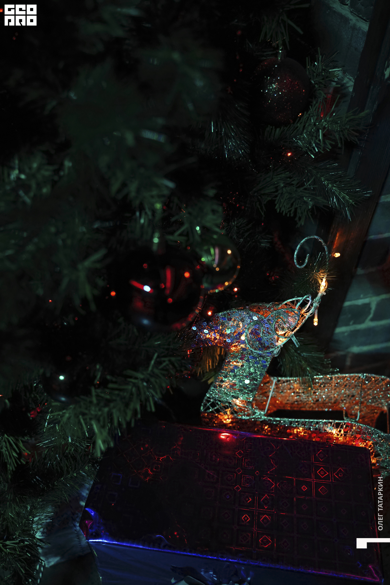 19-12-30 21-59-03_Татаркин.jpg