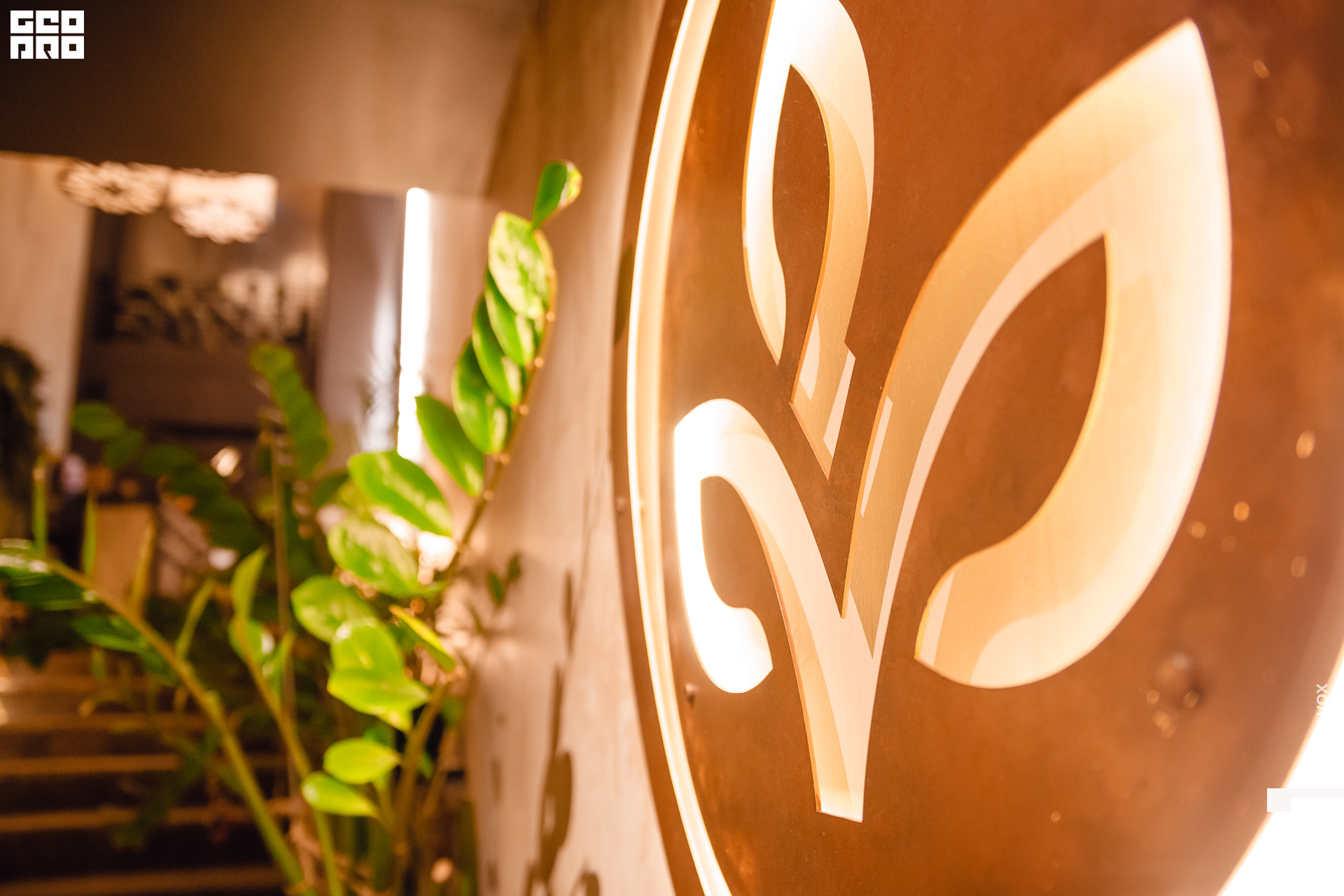 2019-12-06 20-00-00_Вокс_0002.jpg