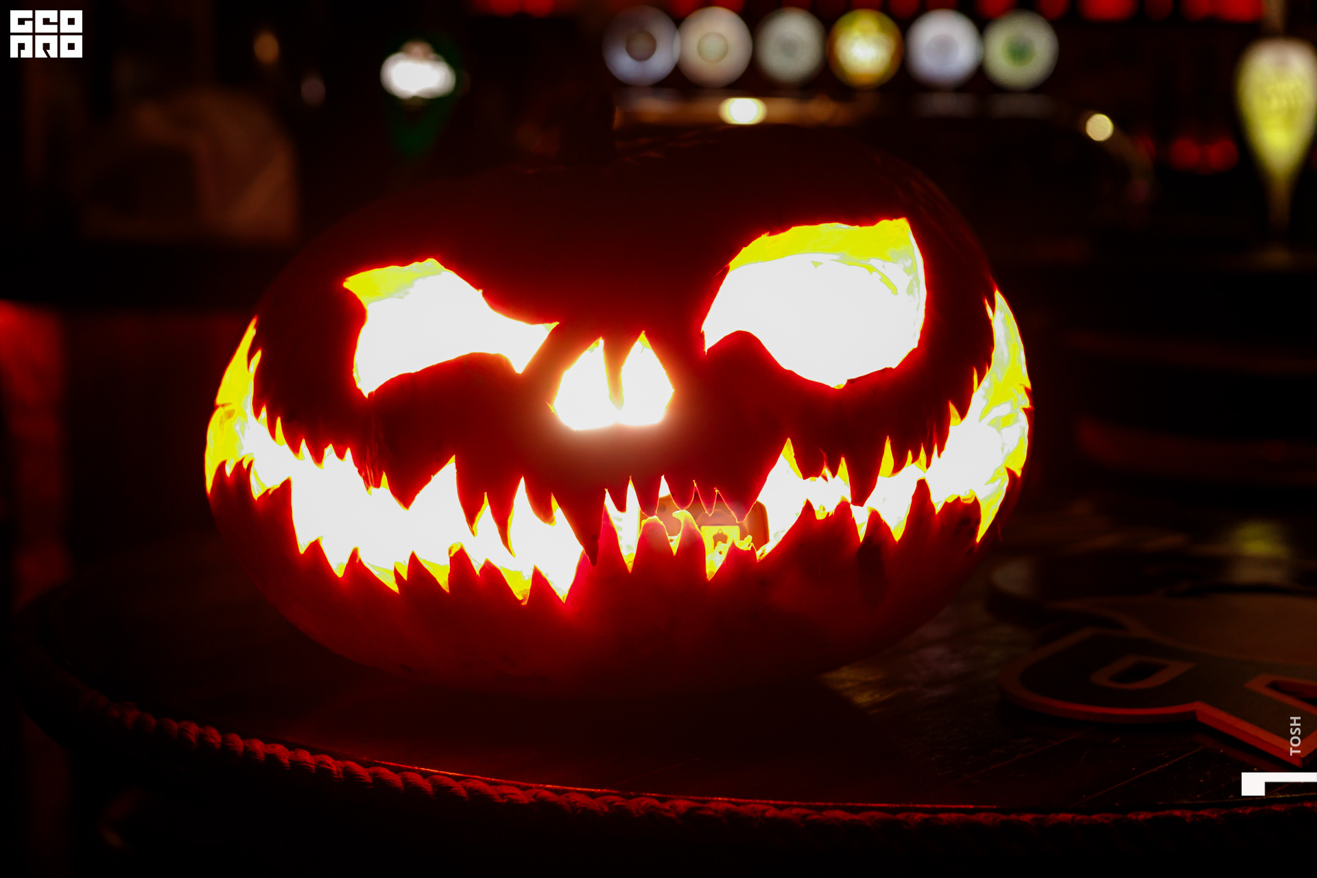 фото (141 из 177).jpg