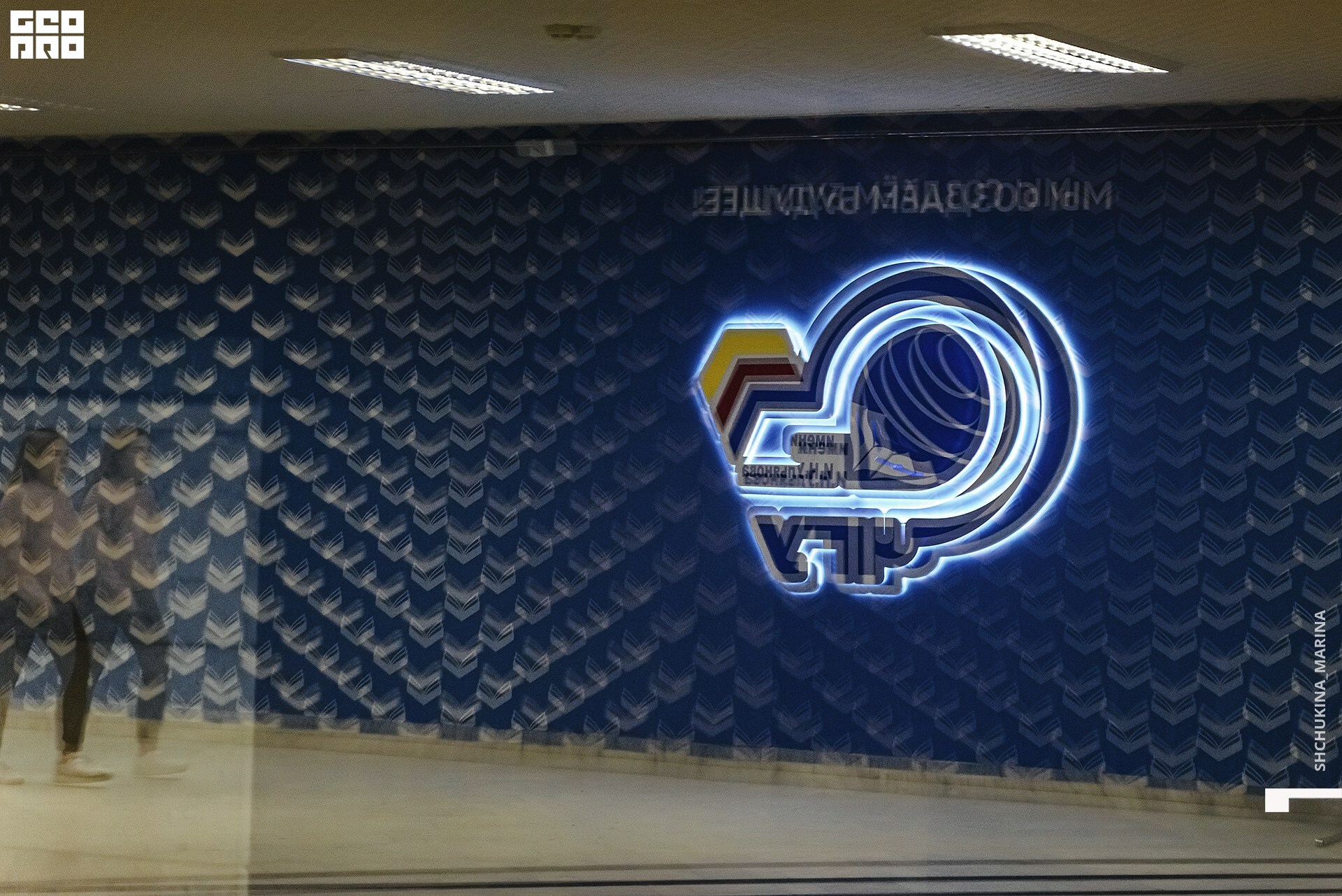 27.10.2019 цвет-338.jpg