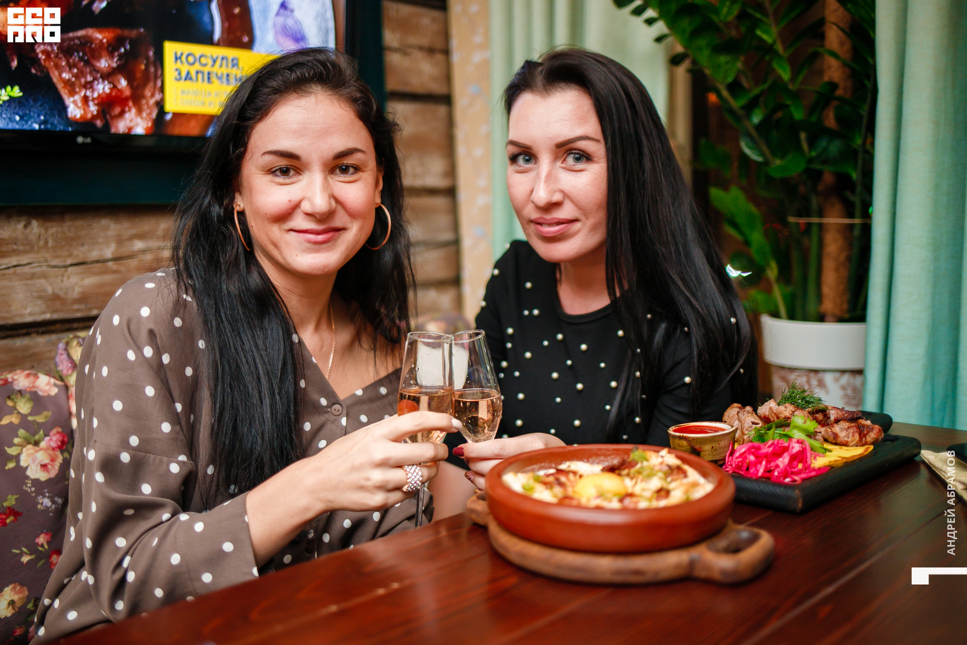 081119 Птичка Абрамов 0047.jpg