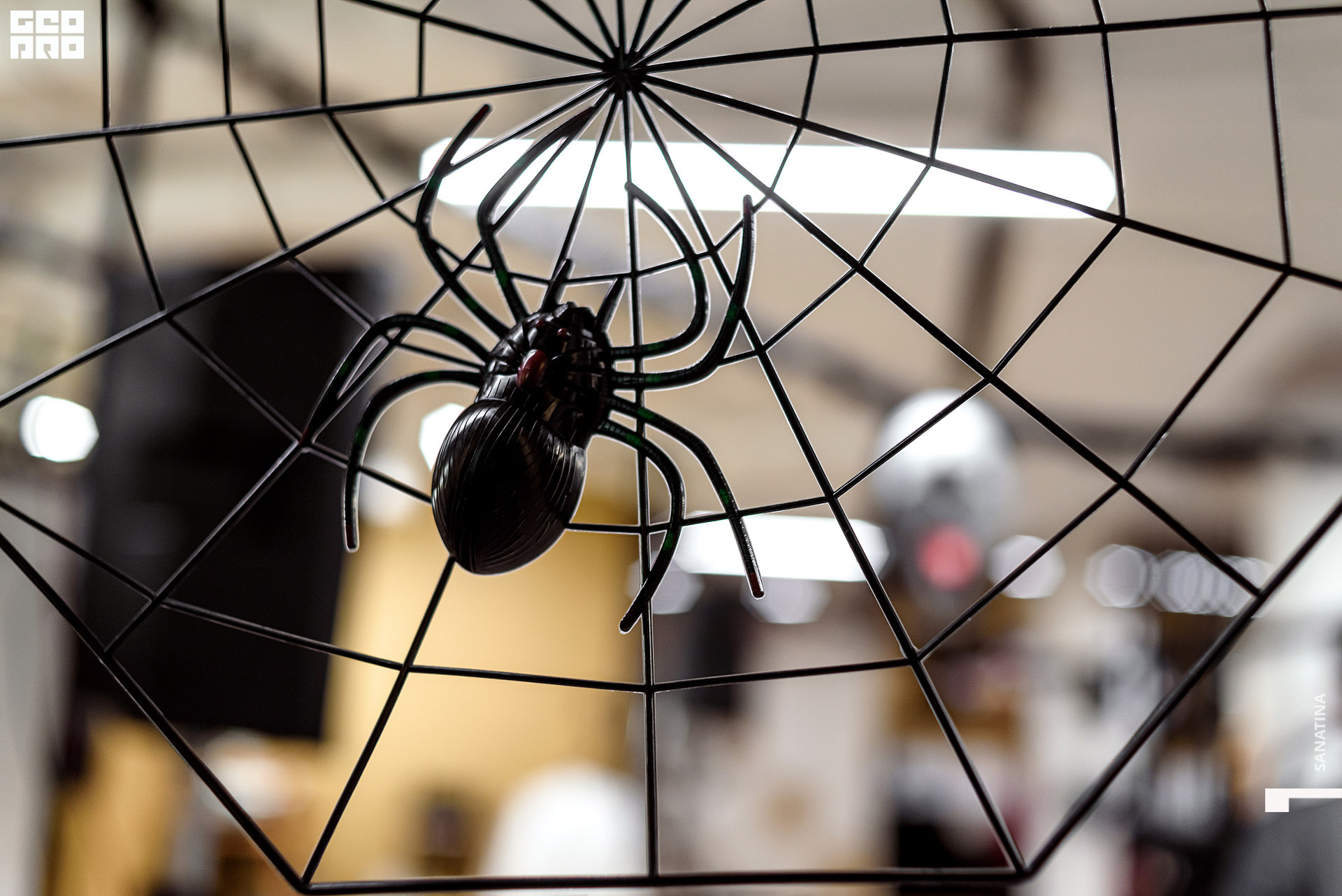 0008_2020-10-31_19-51-51 - Sanatina.jpg