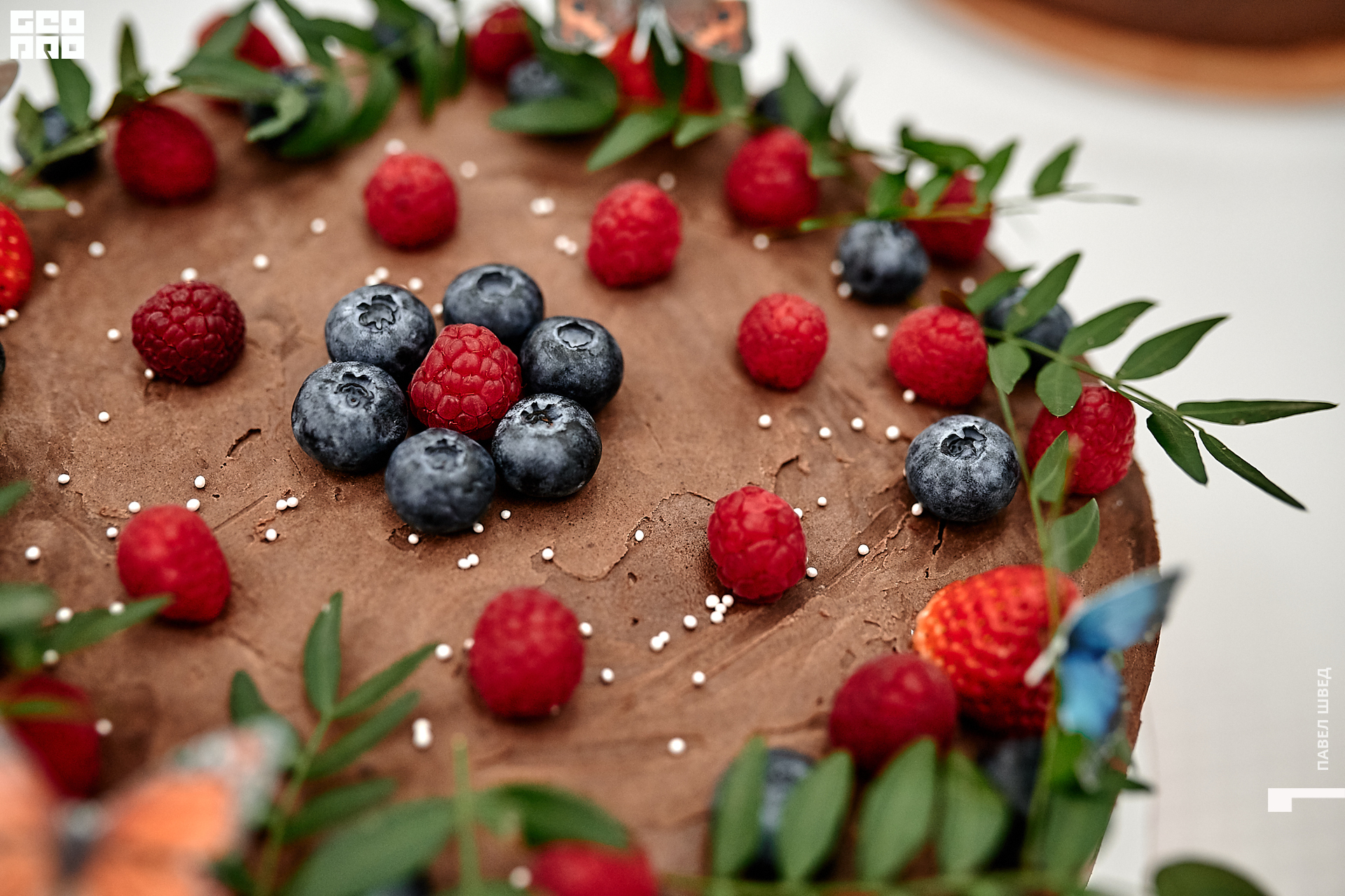 2019-11-24 13-10-00_SHVED_0057.jpg