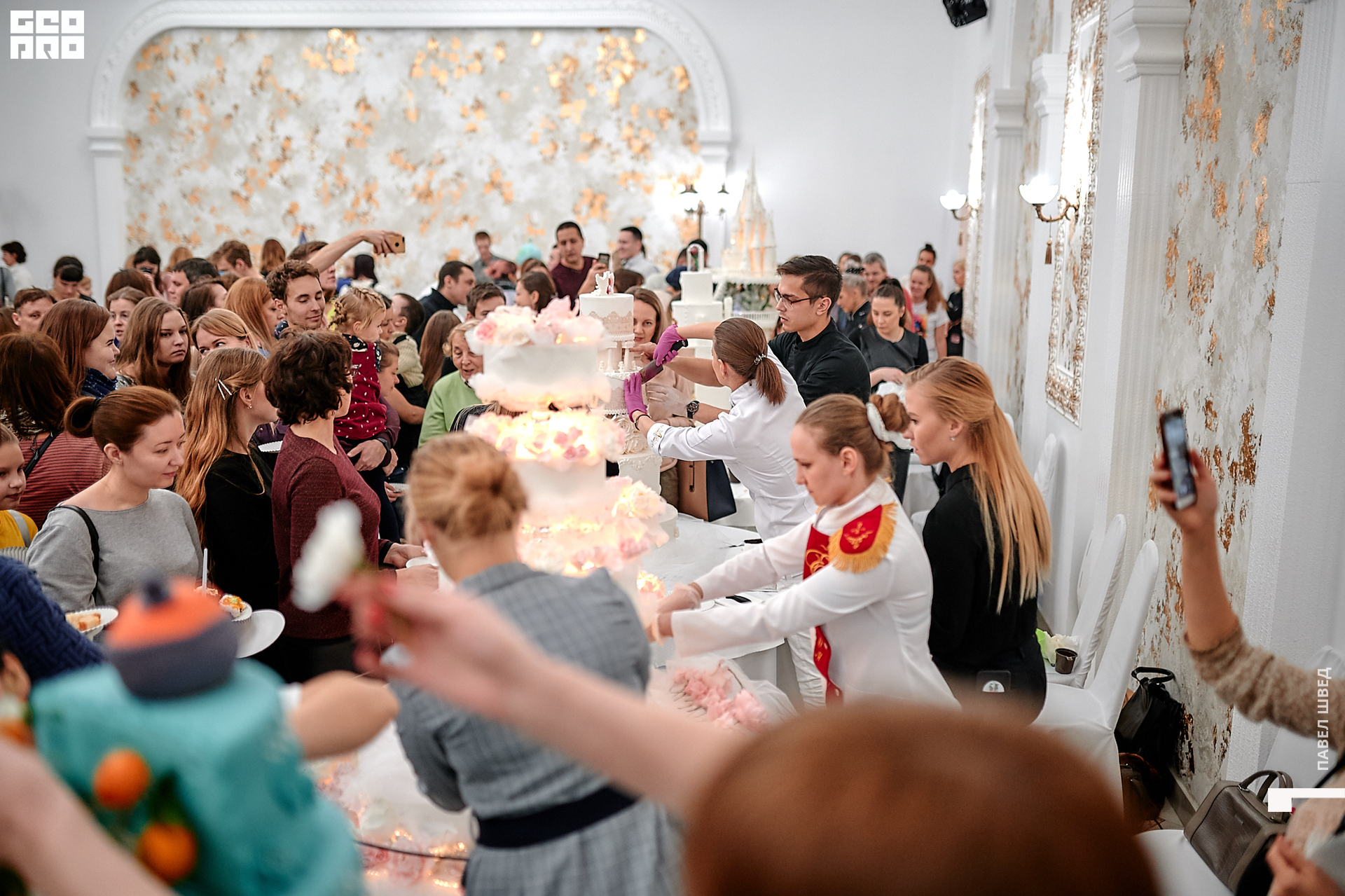 2019-11-24 13-10-00_SHVED_0239.jpg