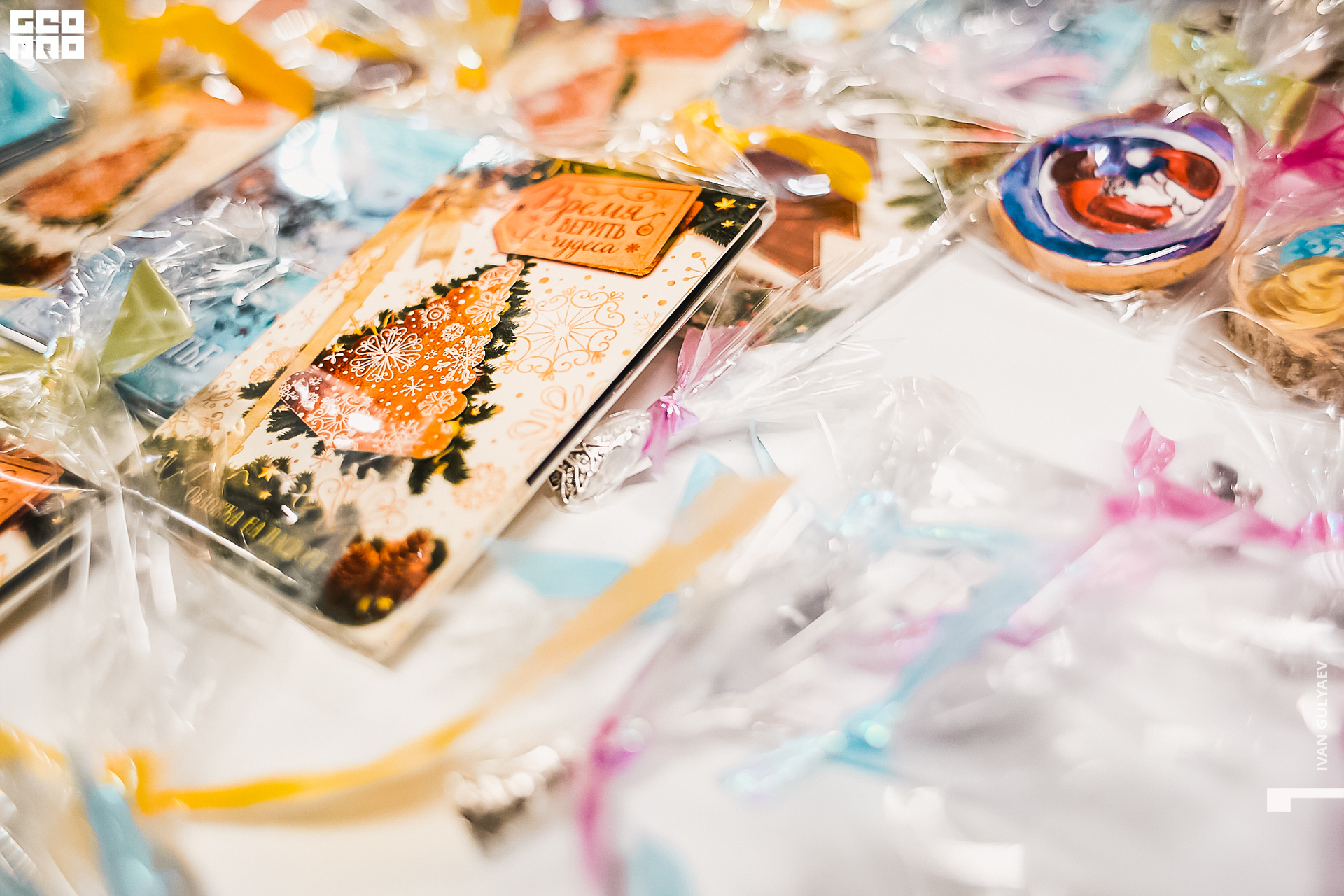 0087 _01122019_171410_Gulyaev.jpg