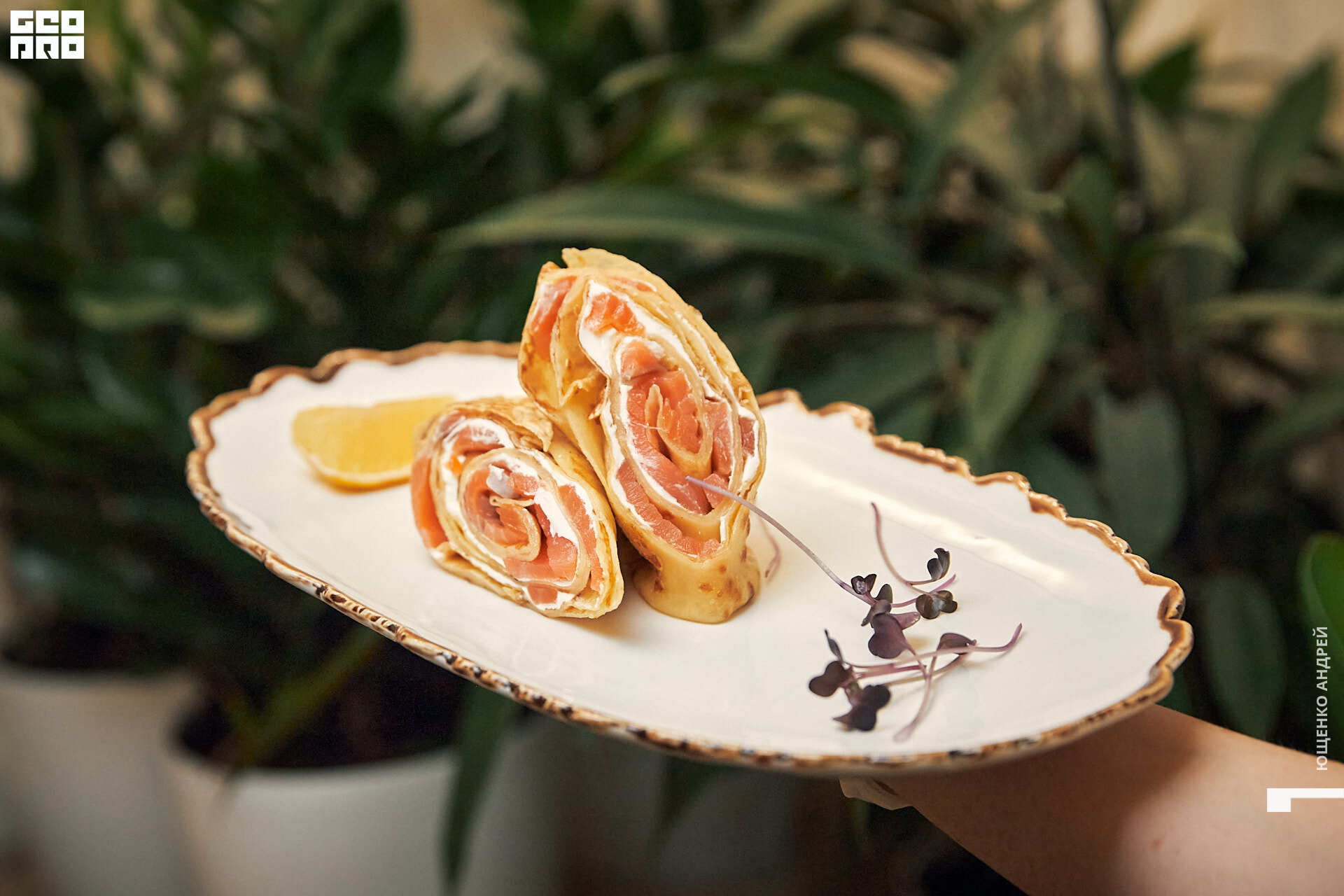 065 IMG_2885  FHD.jpg