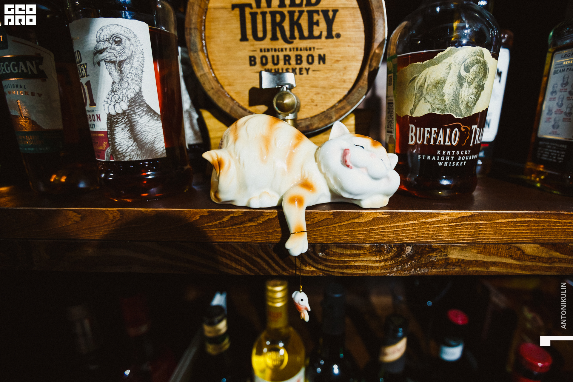 untitled shoot-1191.jpg