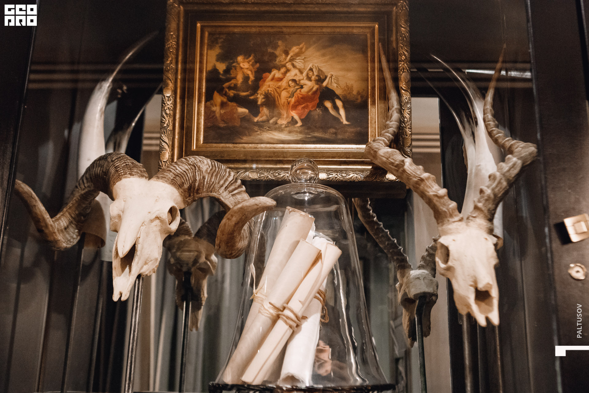 245-2019-12-28-20-01-56 - Paltusov.jpg