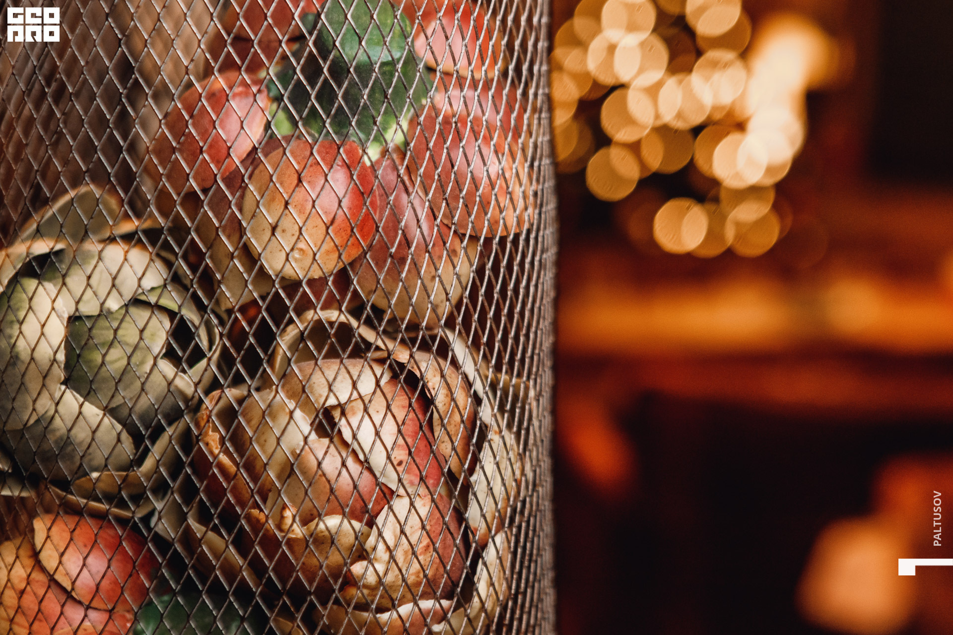 263-2019-12-28-20-49-02 - Paltusov.jpg