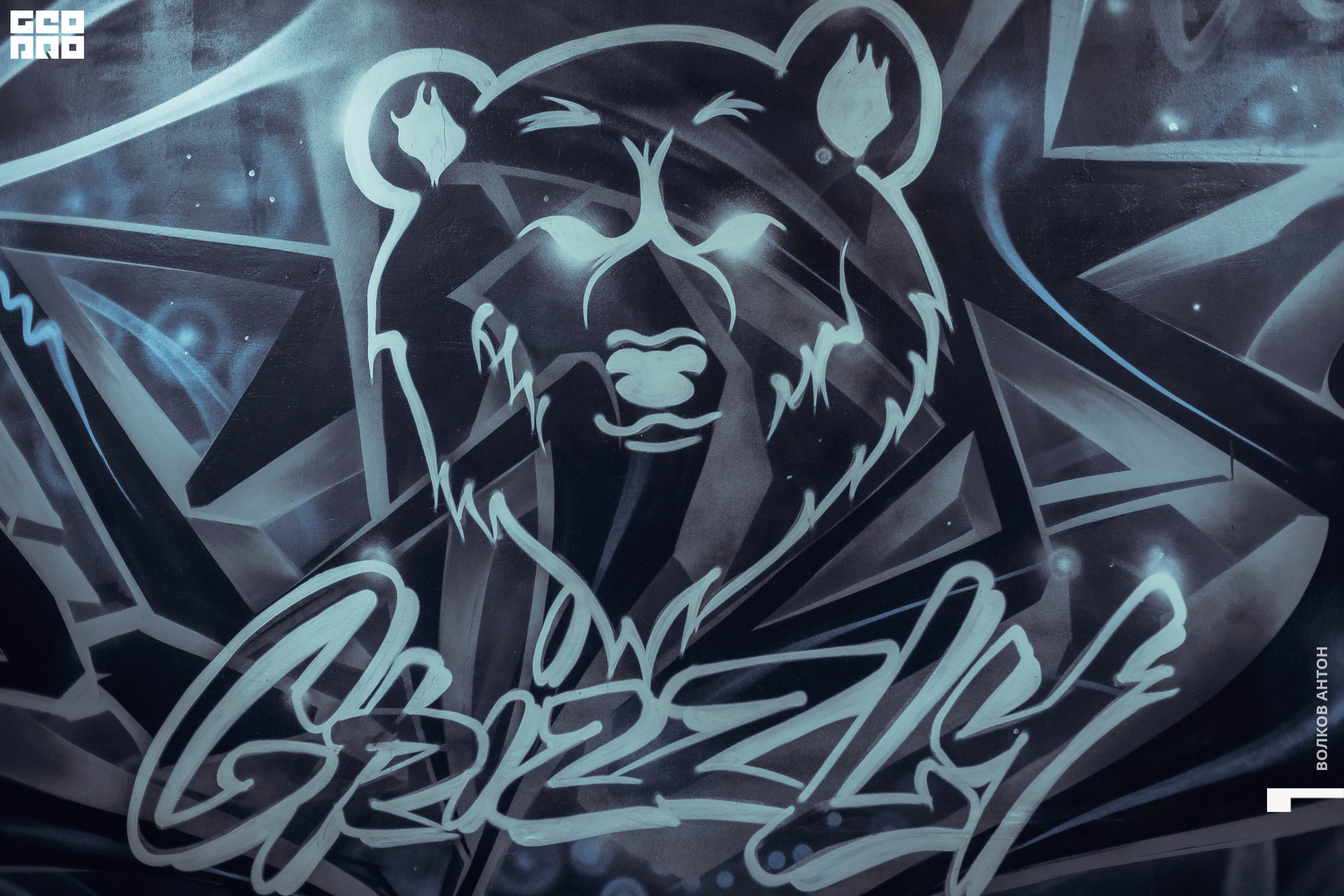 grizzly01.jpg