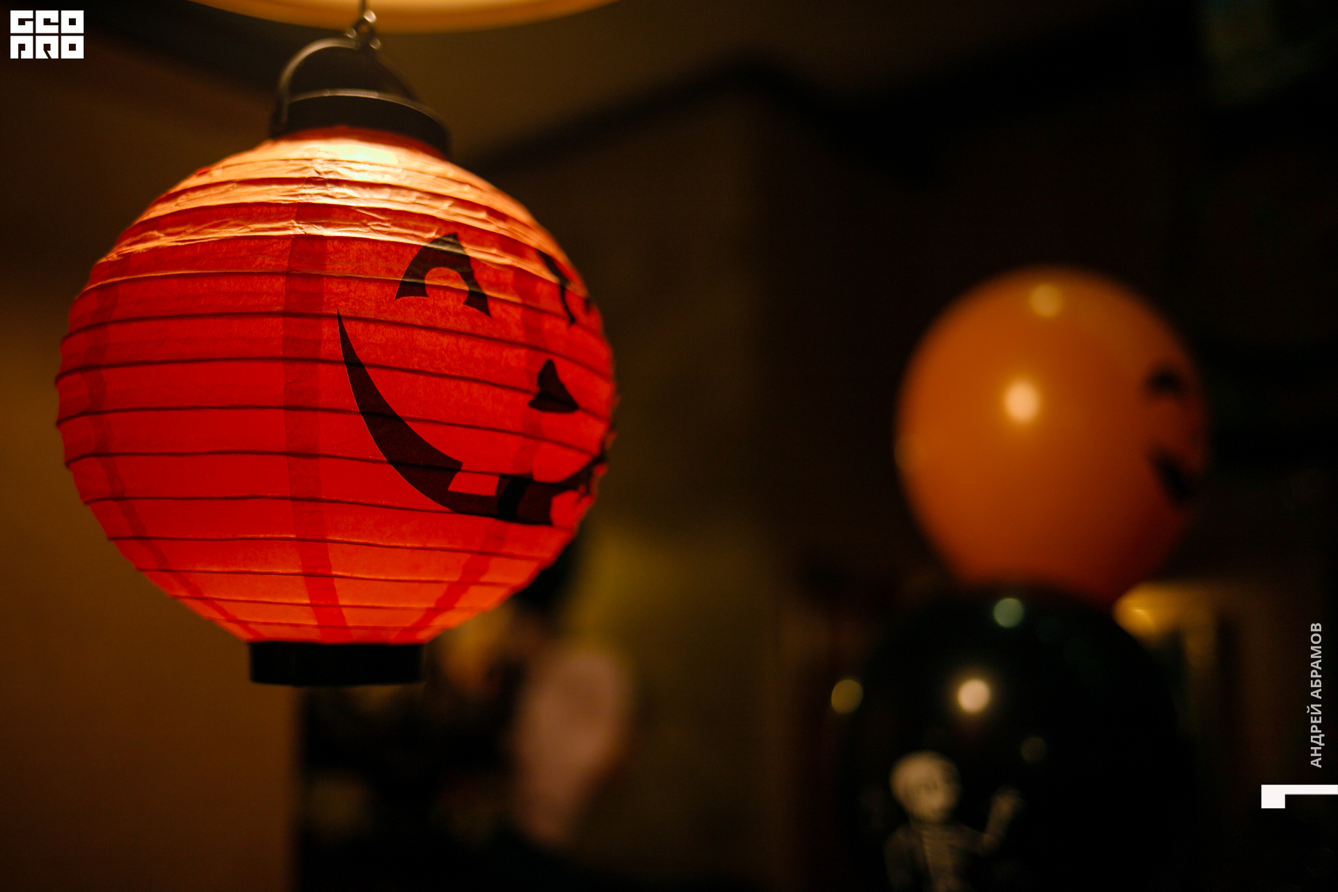 311019 Бар на Бейвеля Абрамов 0028.jpg