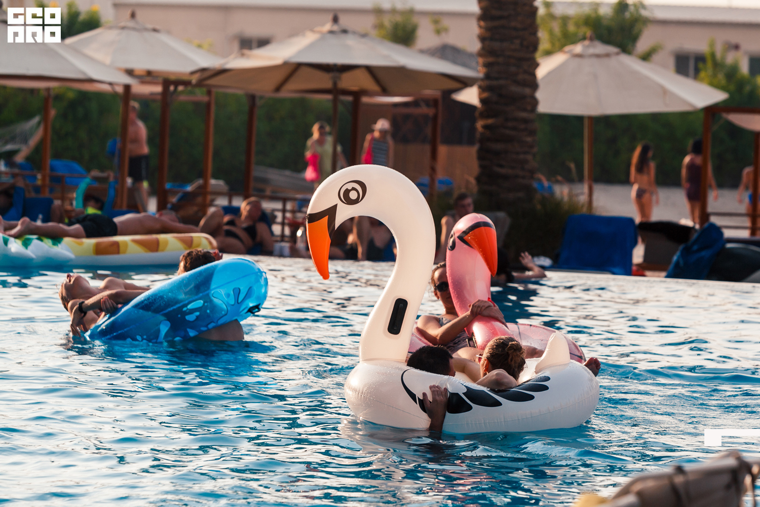 Areia (34 of 51).jpg