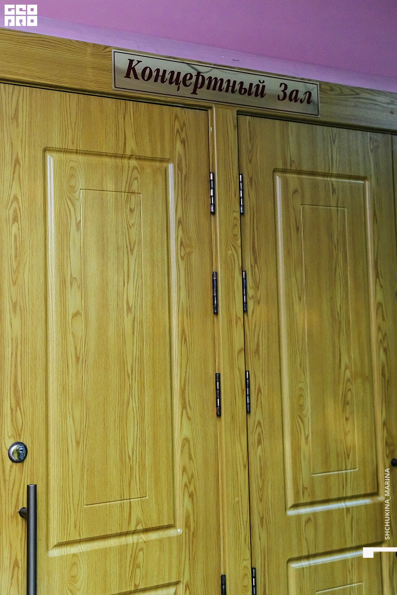 24.11.2019 дк химик-19.jpg