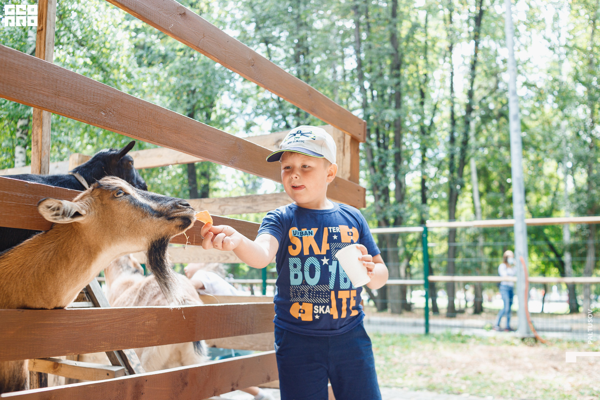 018-2020-07-25-15-52-59 - Paltusov.jpg