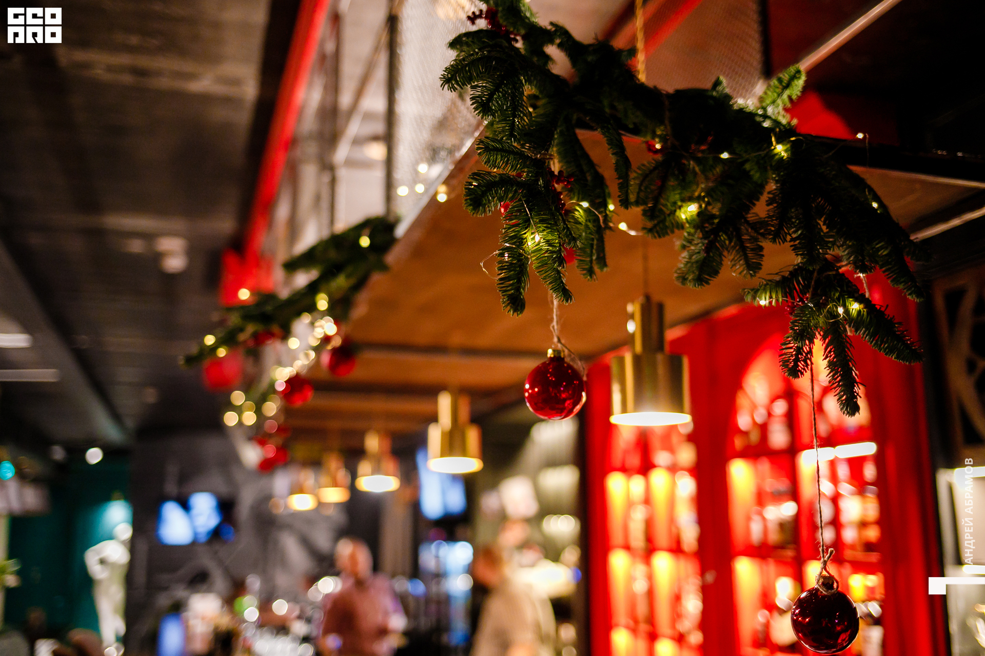 051219 Гастроужин Птичка Абрамов  0016.jpg