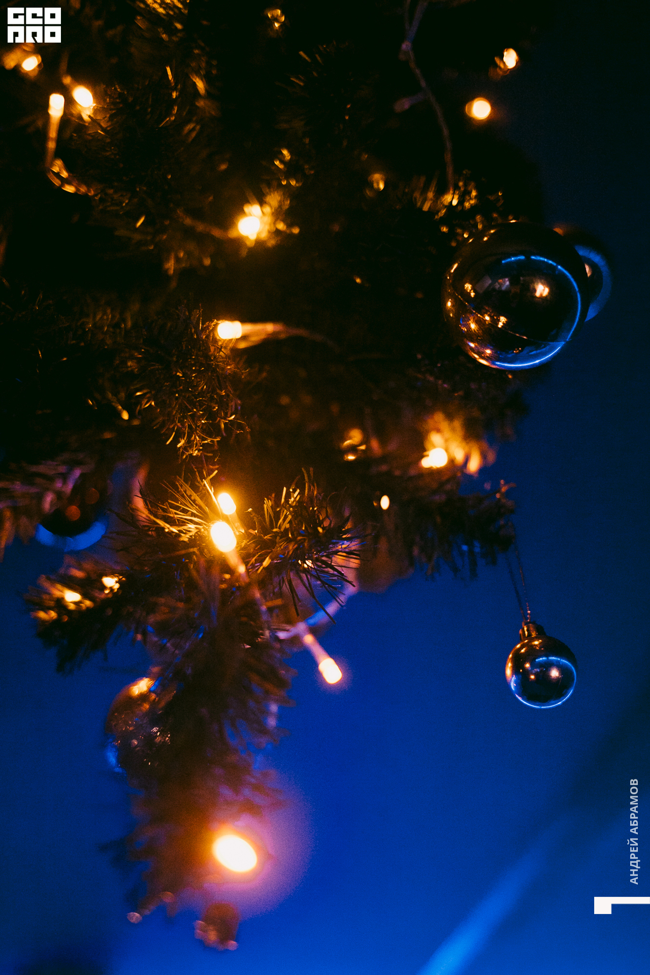 061219 Шишка Абрамов  0067.jpg