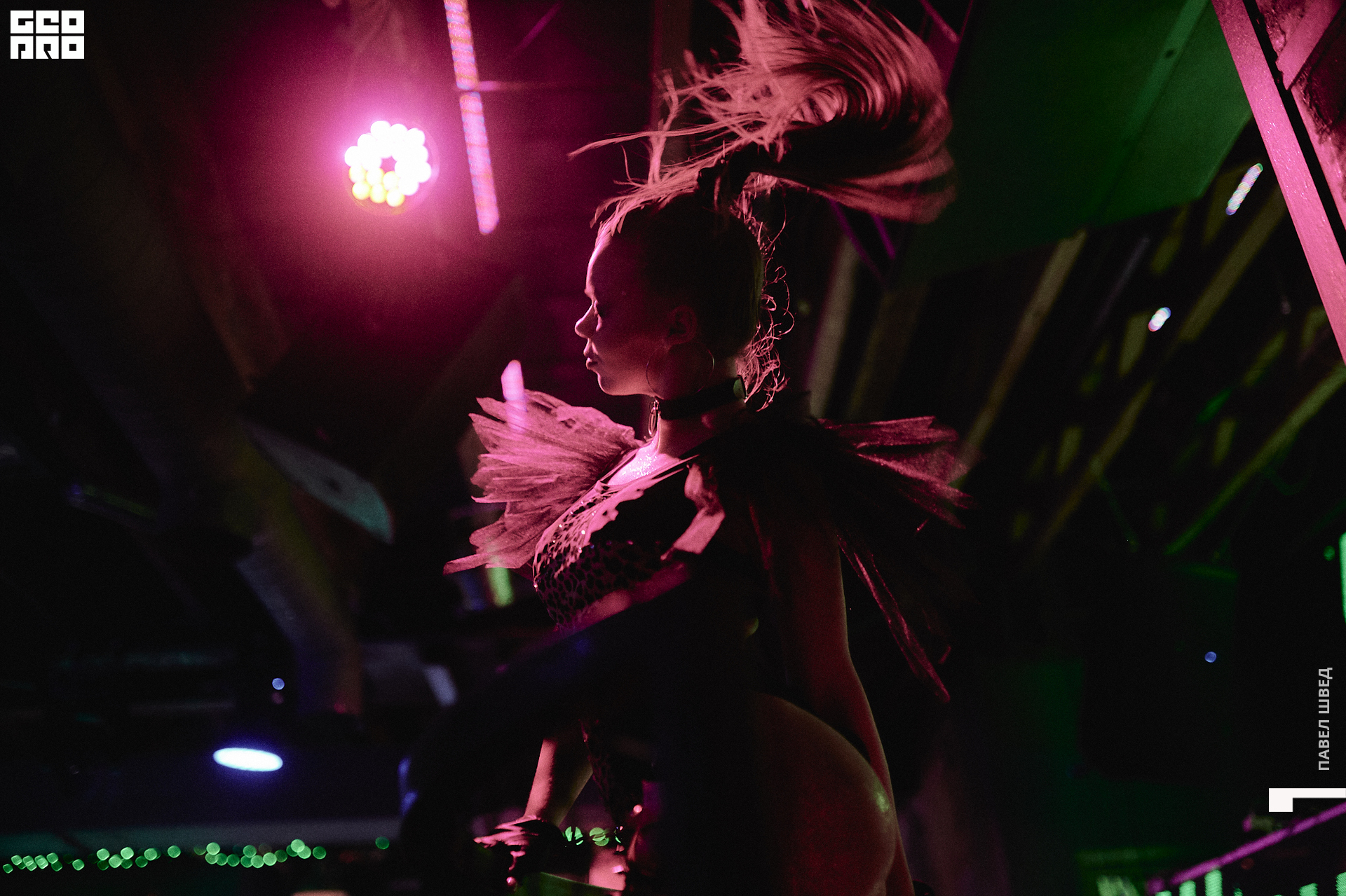 2019-11-26 23-10-00_SHVED_0033.jpg