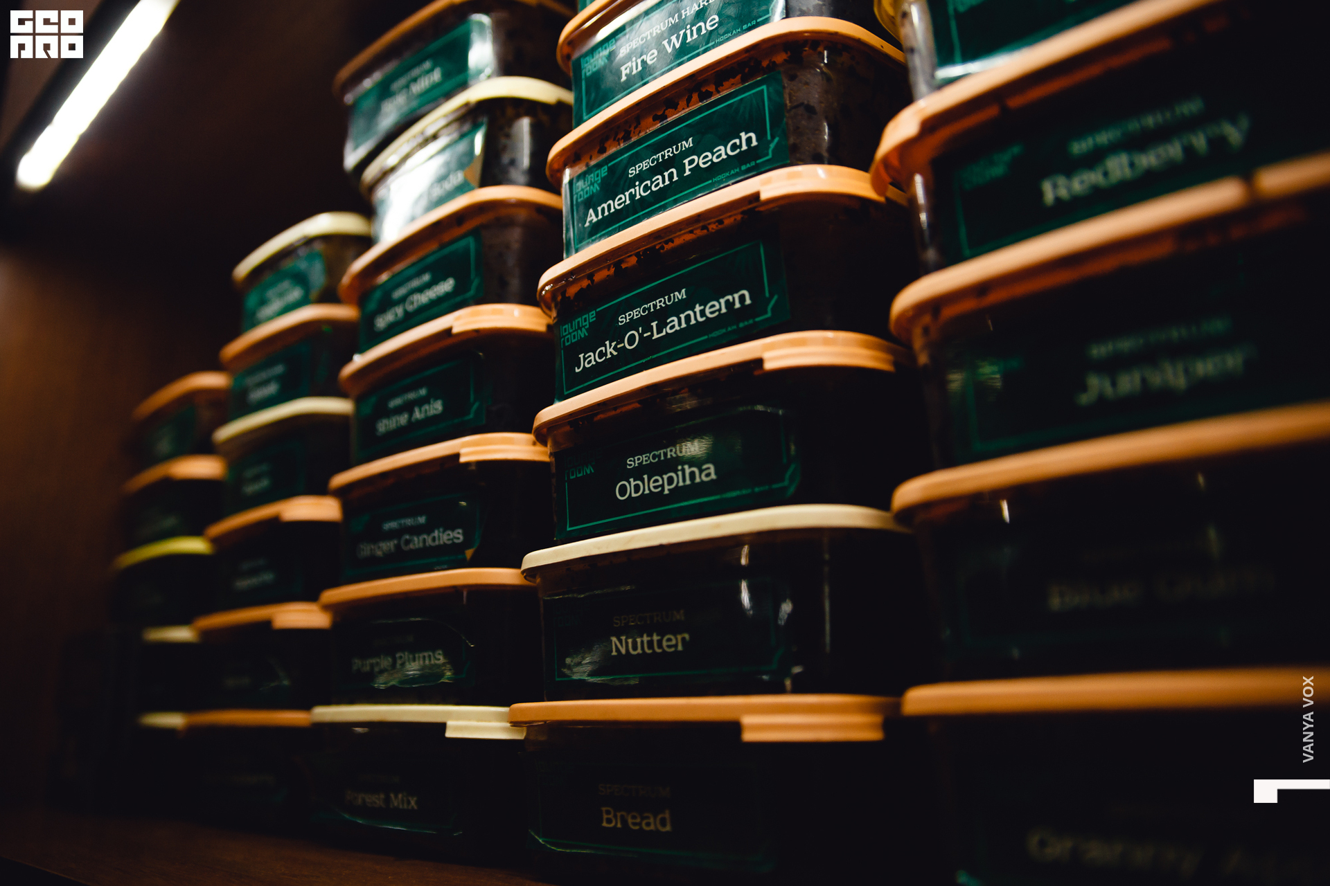 2019-11-01 23-00-00_Вокс_0051.jpg