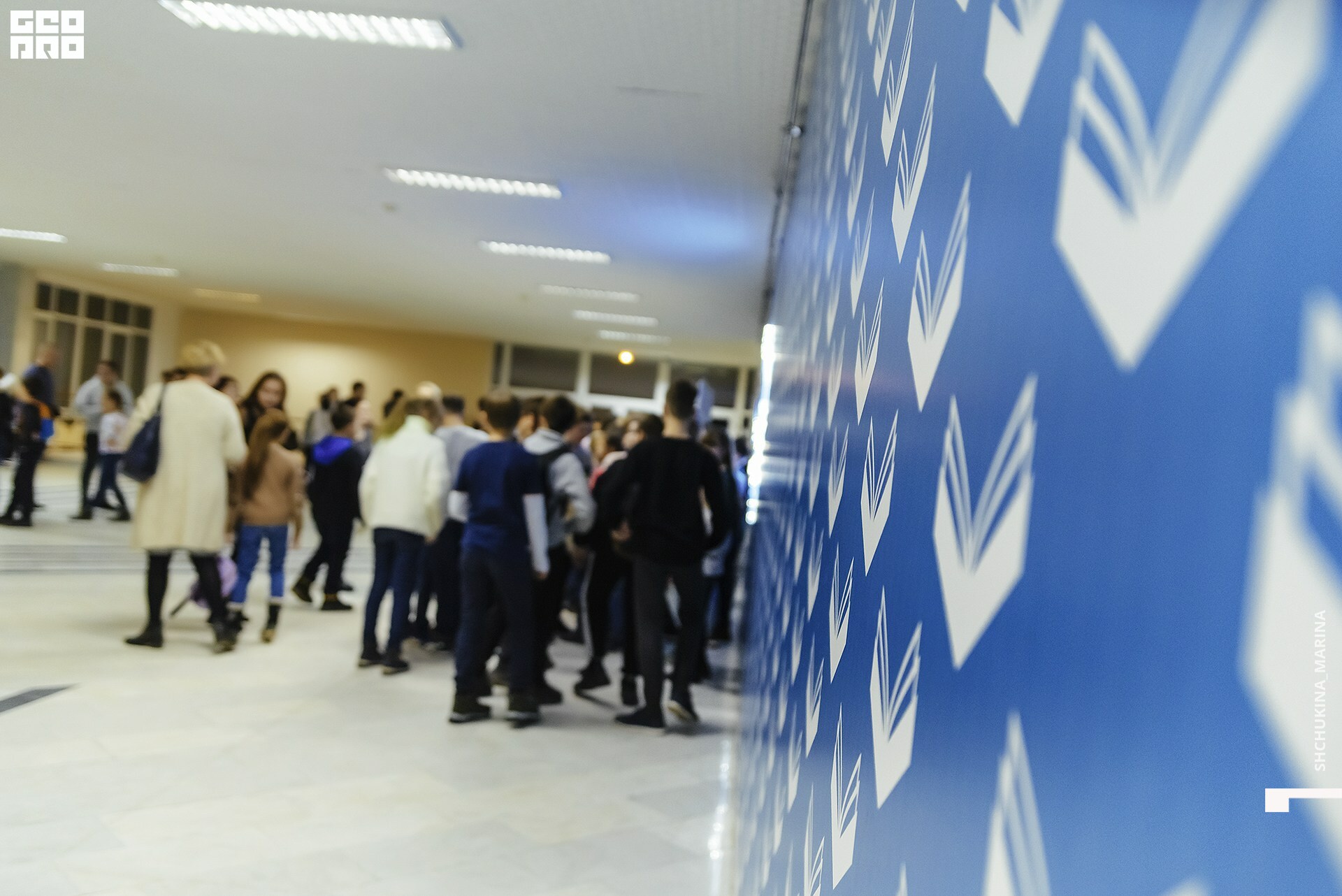 27.10.2019 цвет-31.jpg