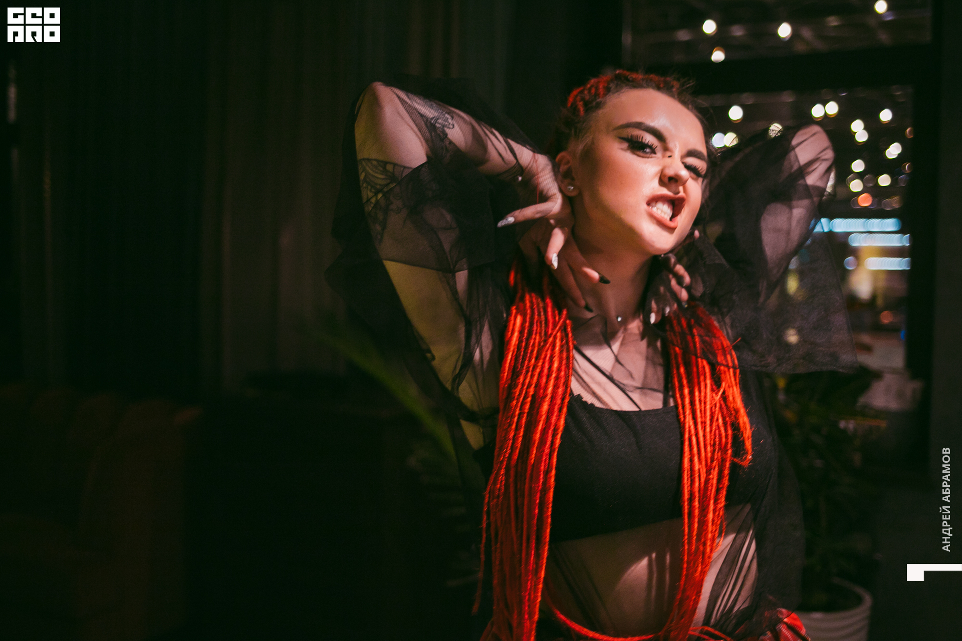 131219 Птичка и 5561 Абрамов для загрузки  0097.jpg