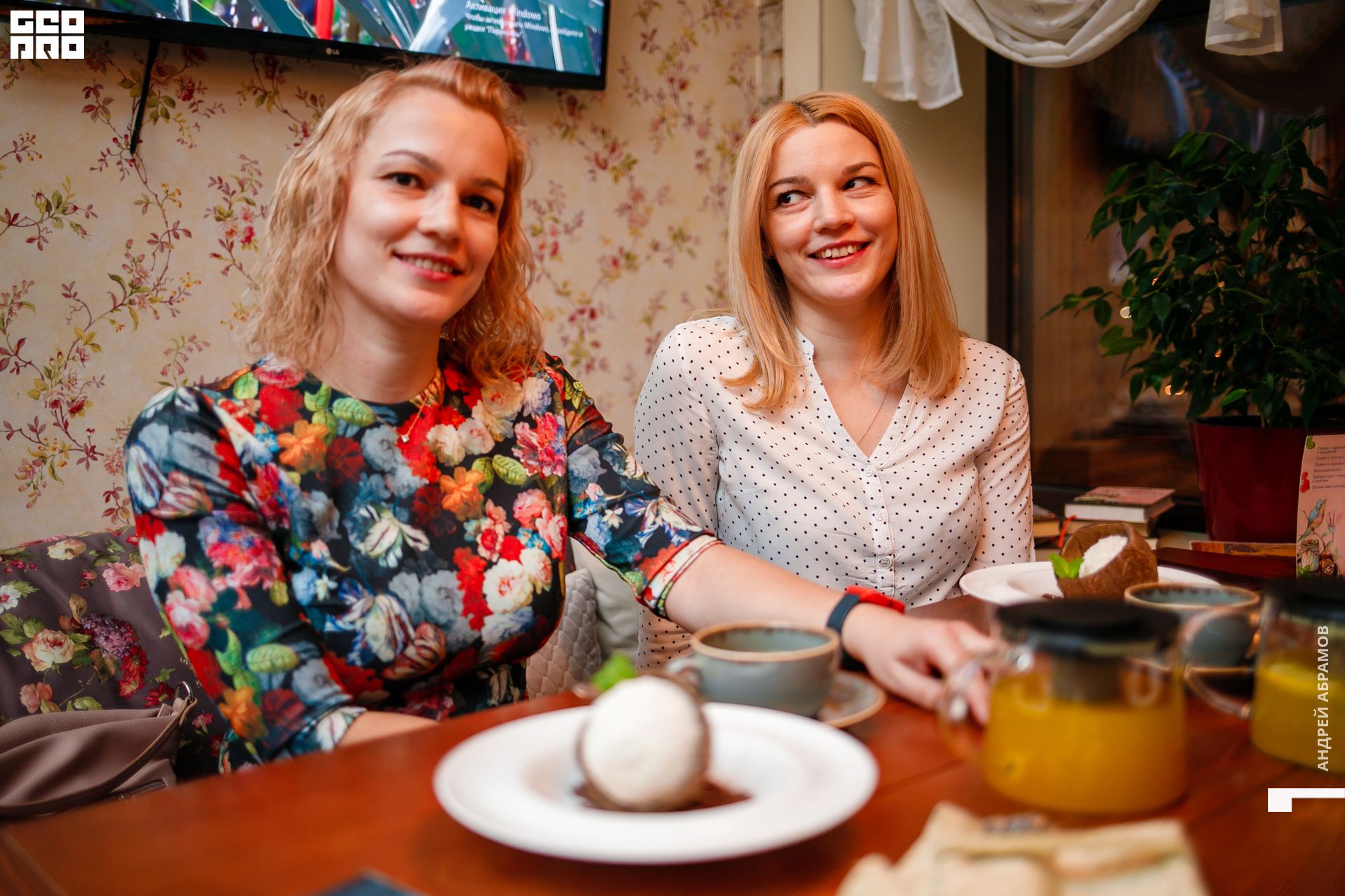 151119 Птичка Абрамов 0077.jpg