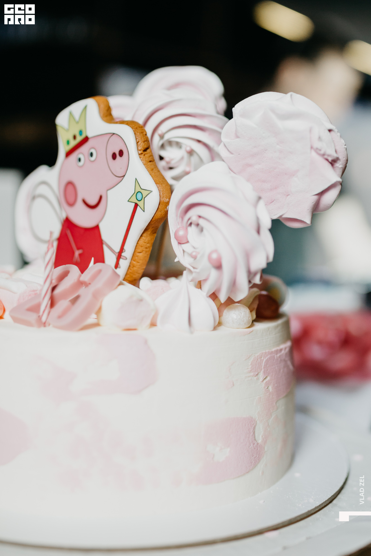 Гео Про-10090.jpg