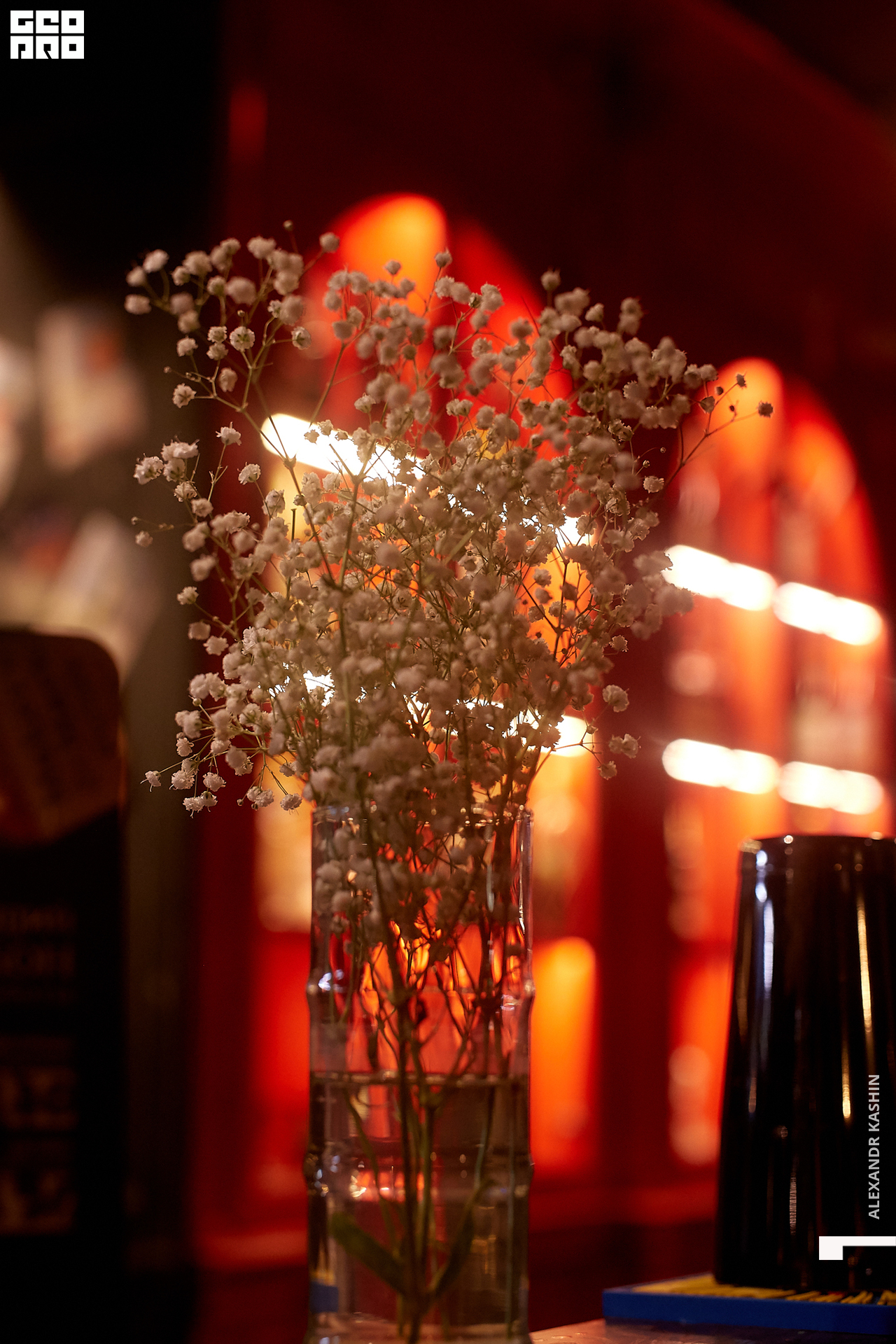 2020-01-03 21-30-00_Kashin_0015.jpg