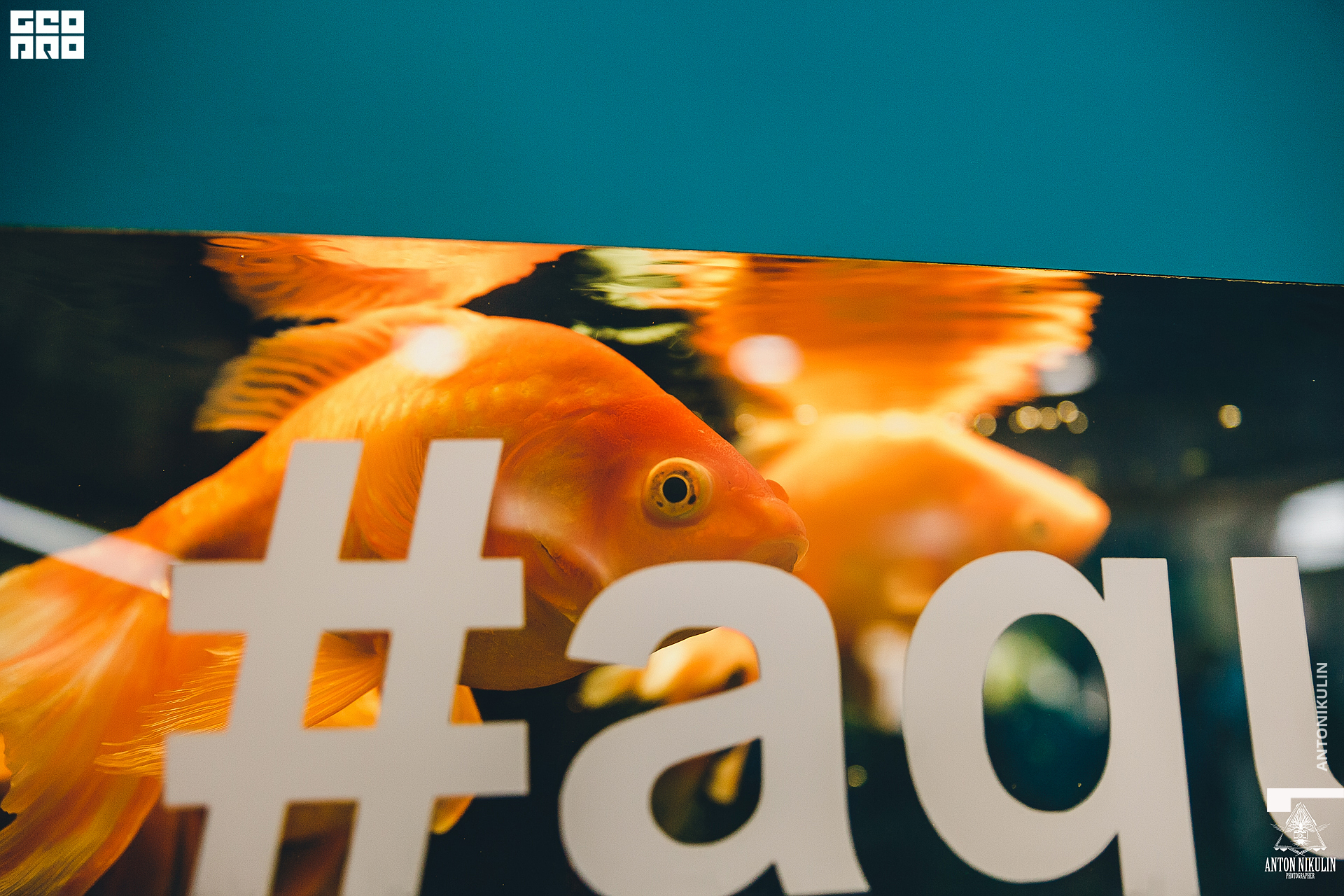 untitled shoot-9738.jpg