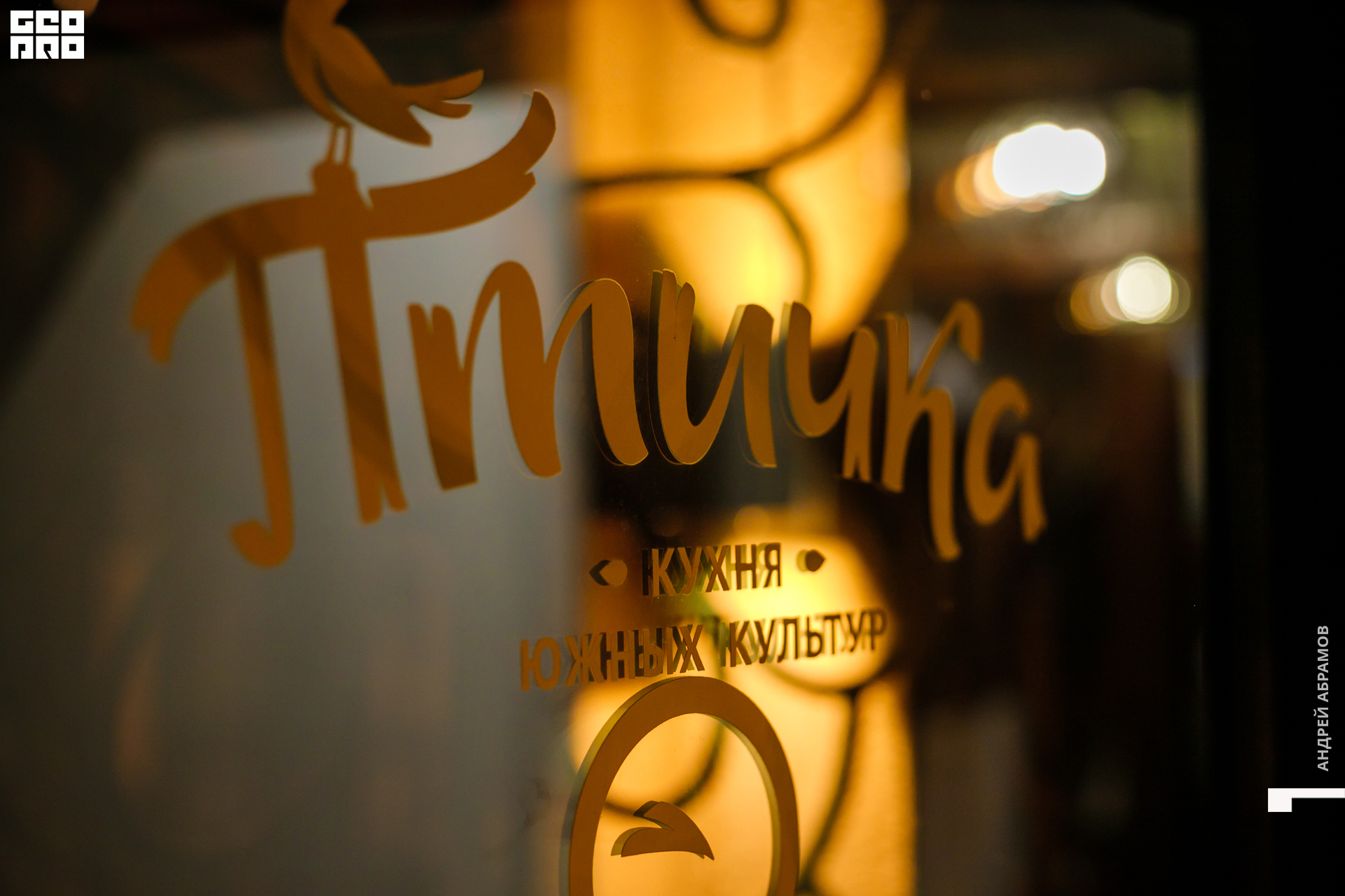 251019 Птичка Абрамов0001 (2).jpg