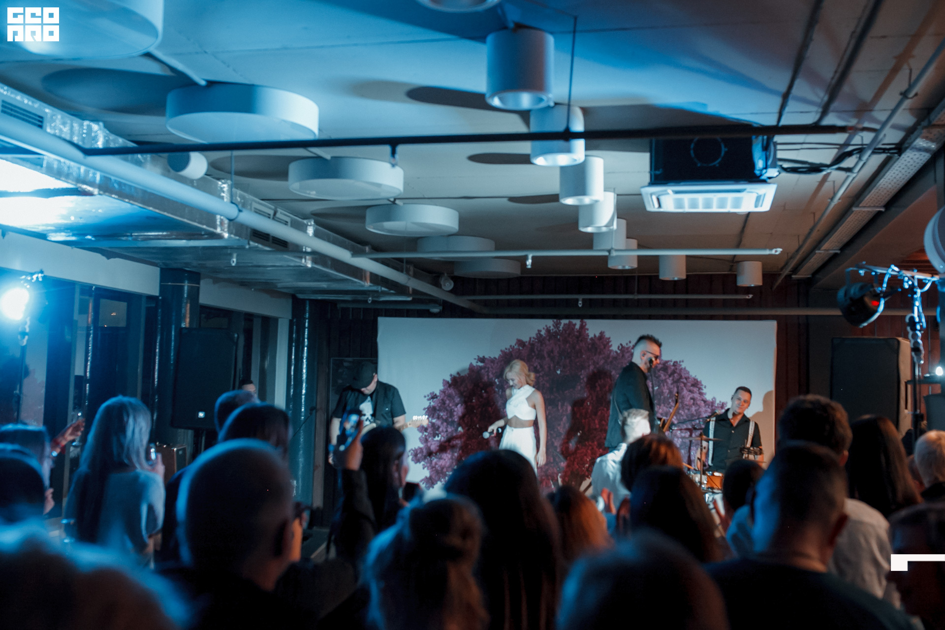 125 -_2019_12_13-20-03-45 - Komelskih.JPG