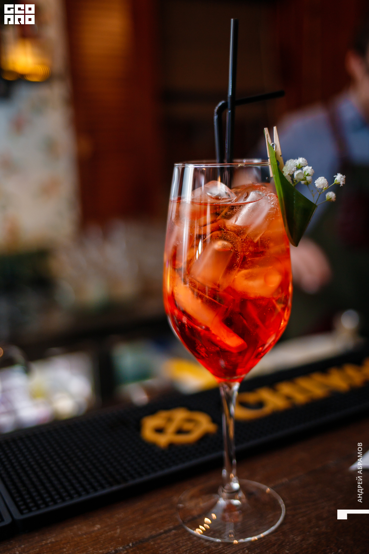 131219 Птичка и 5561 Абрамов для загрузки  0023.jpg