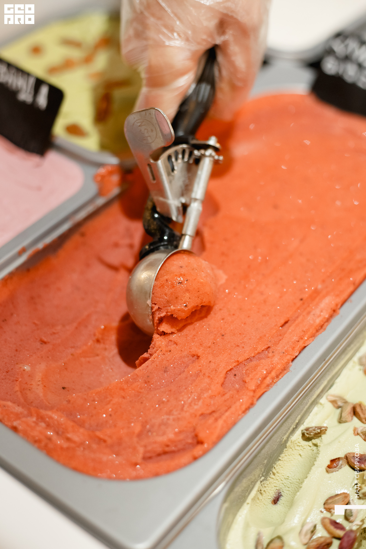 2019-10-31 12-00-00_svirkova_022.jpg