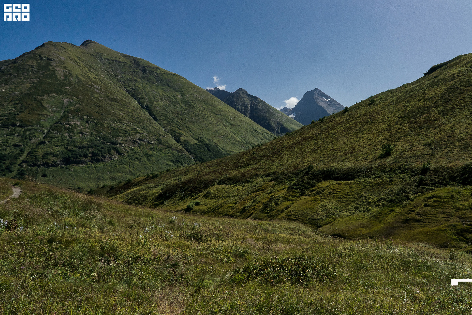 Jpeg-14 копия.jpg