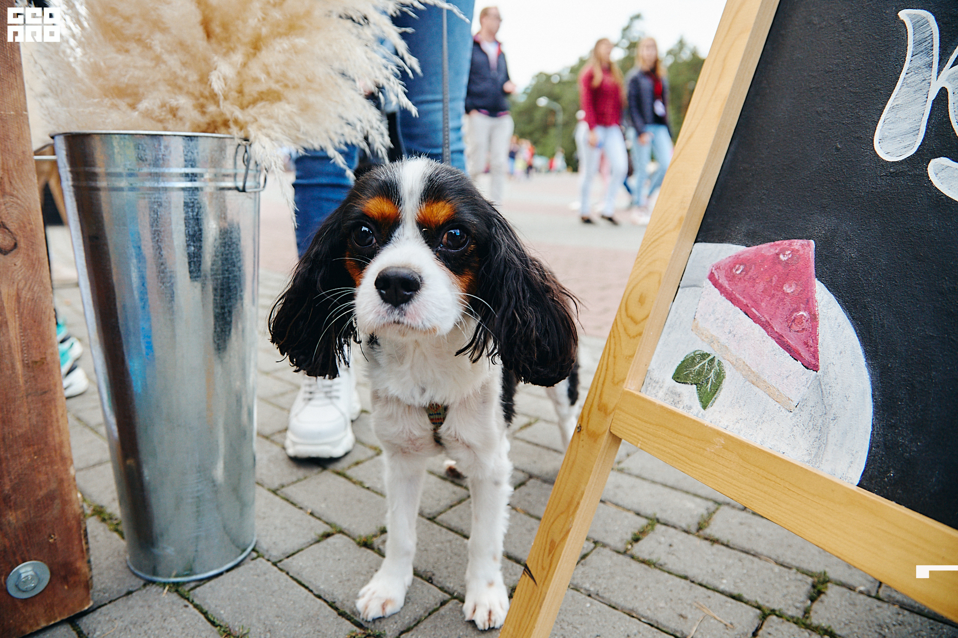 0332 190803 Fresh Fest .jpg