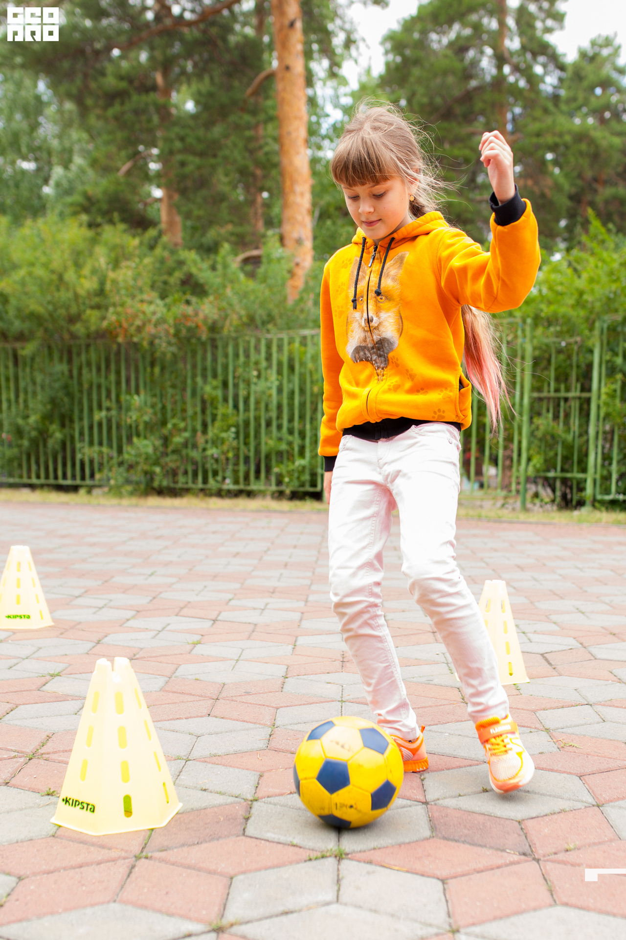 0144 190803 Fresh Fest .jpg