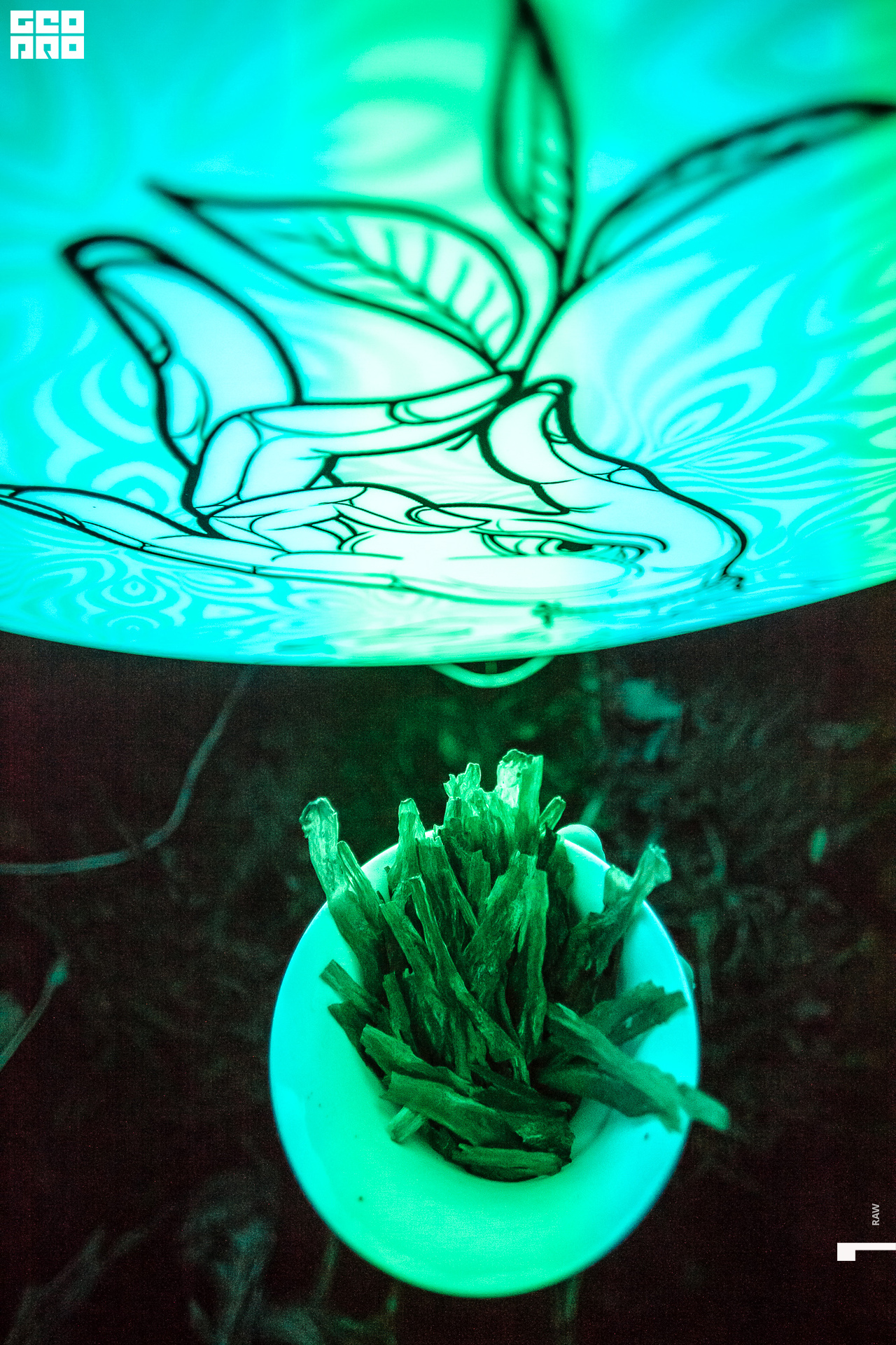 Photo-193 копия.jpg