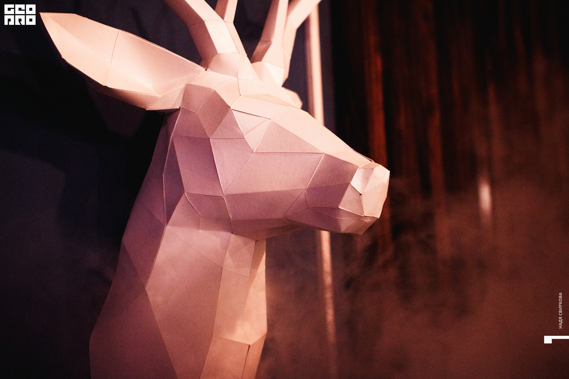 2019-08-31 21-00-00_svirkova_088.jpg