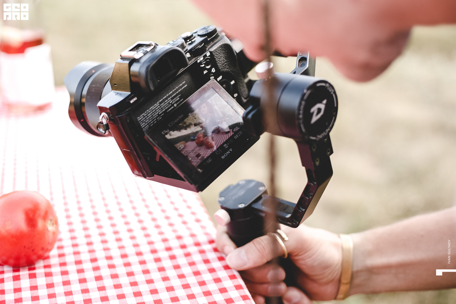 0054 21082019_182348_Gulyaev.jpg