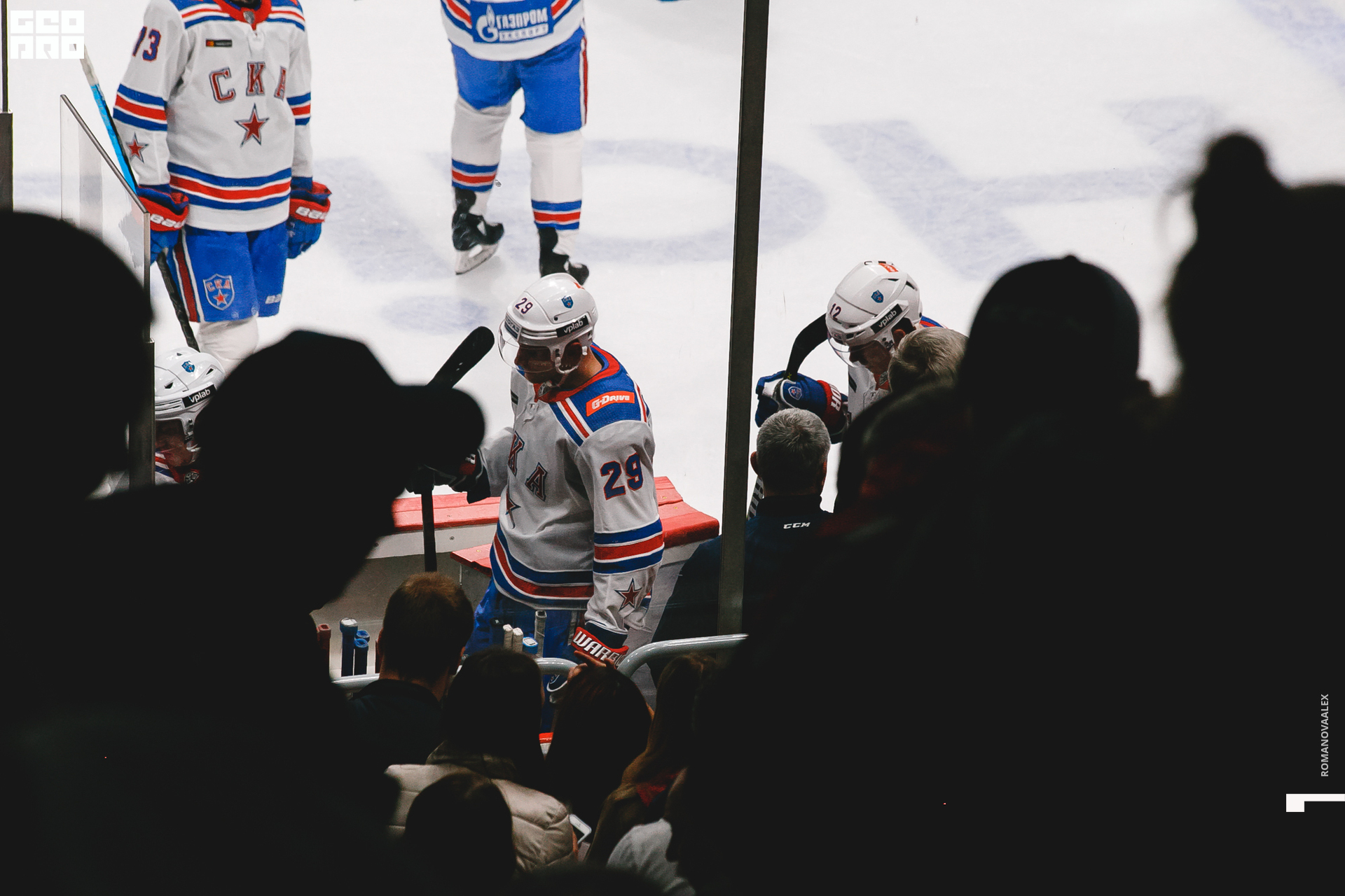 0231 2019-09-04 20-25-16_Романова.jpg